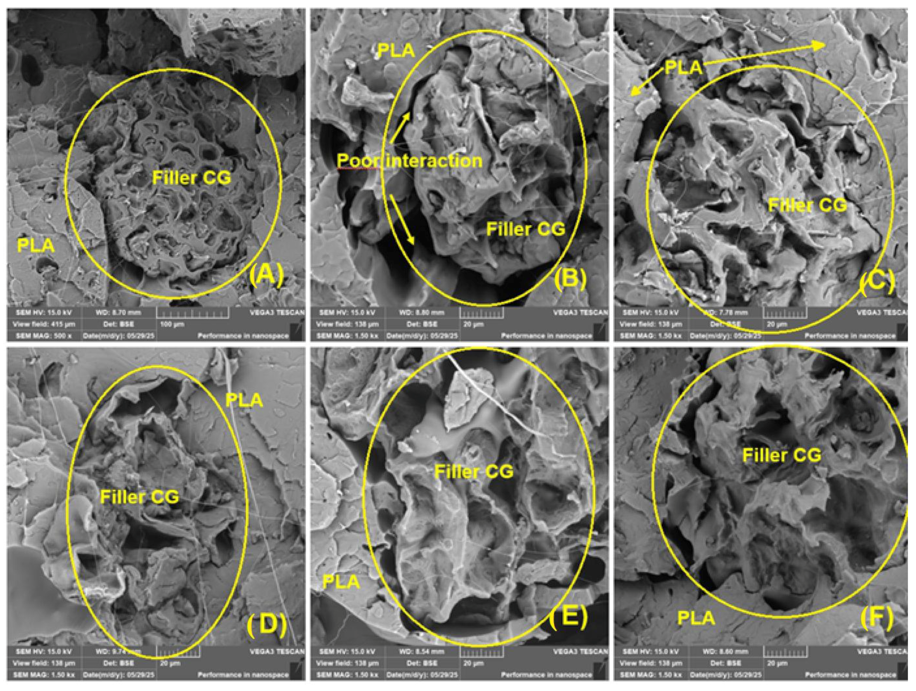 Polymers 17 01862 g019