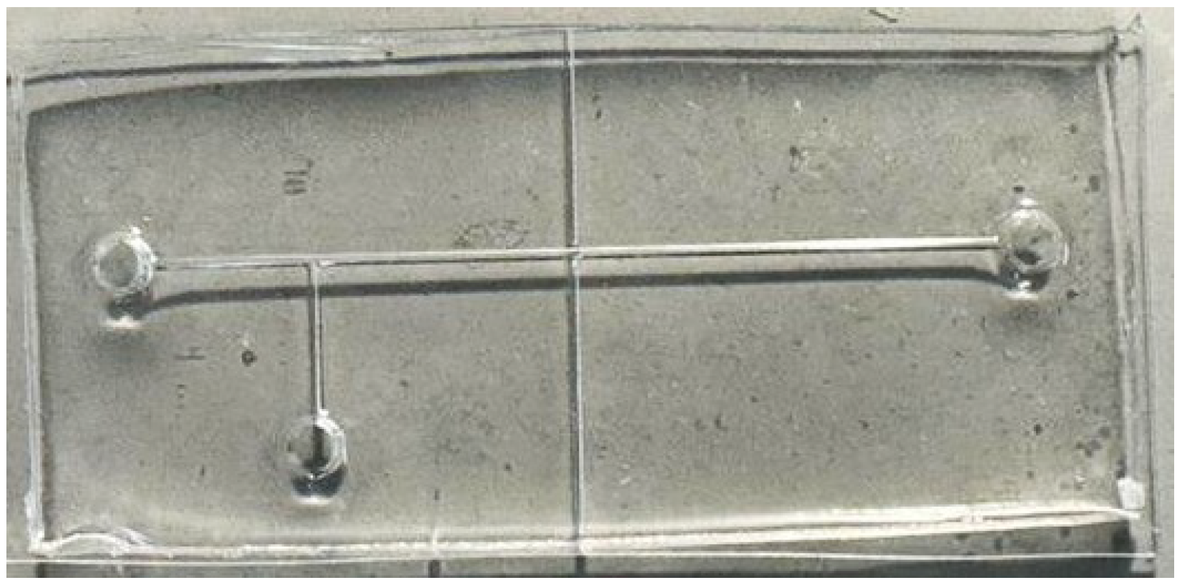 Polymers 17 01864 g002