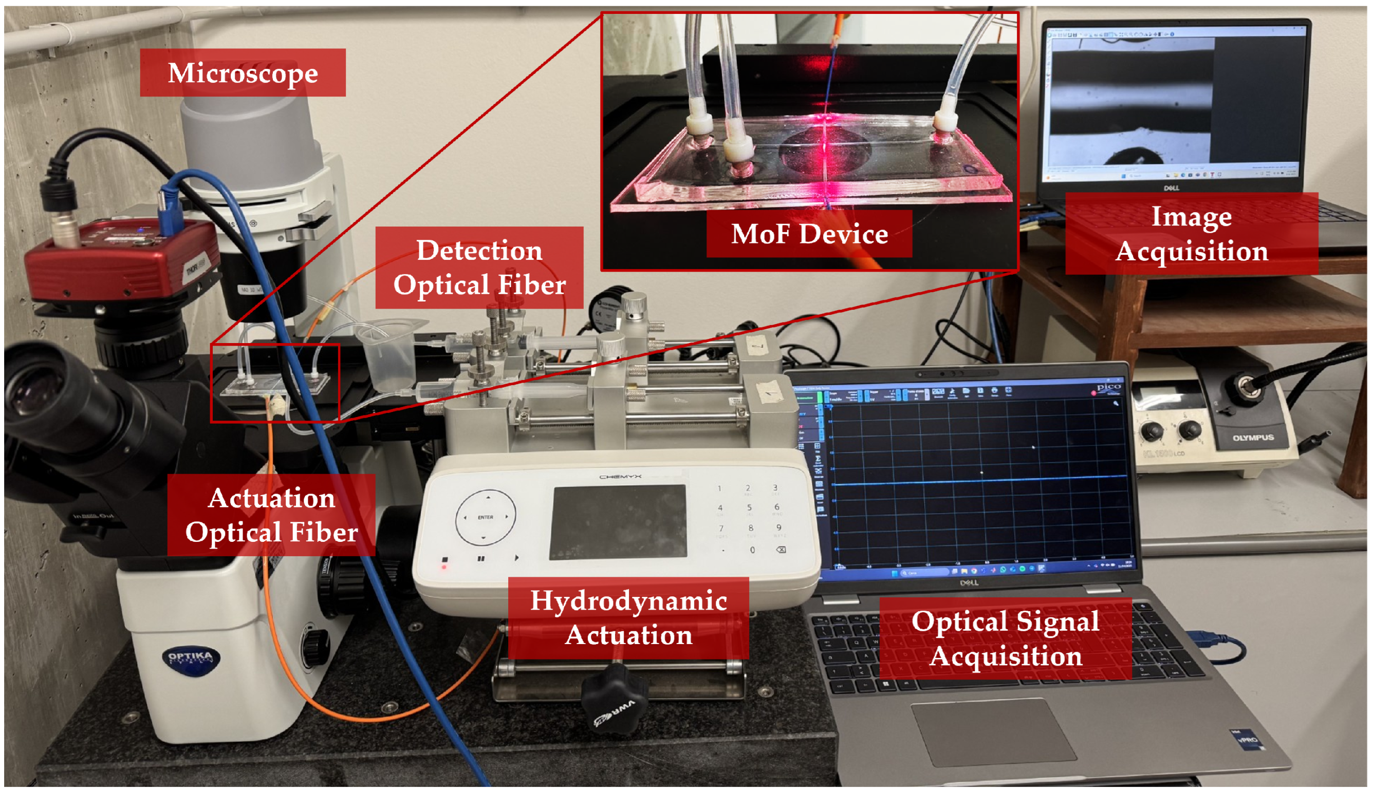Polymers 17 01864 g005