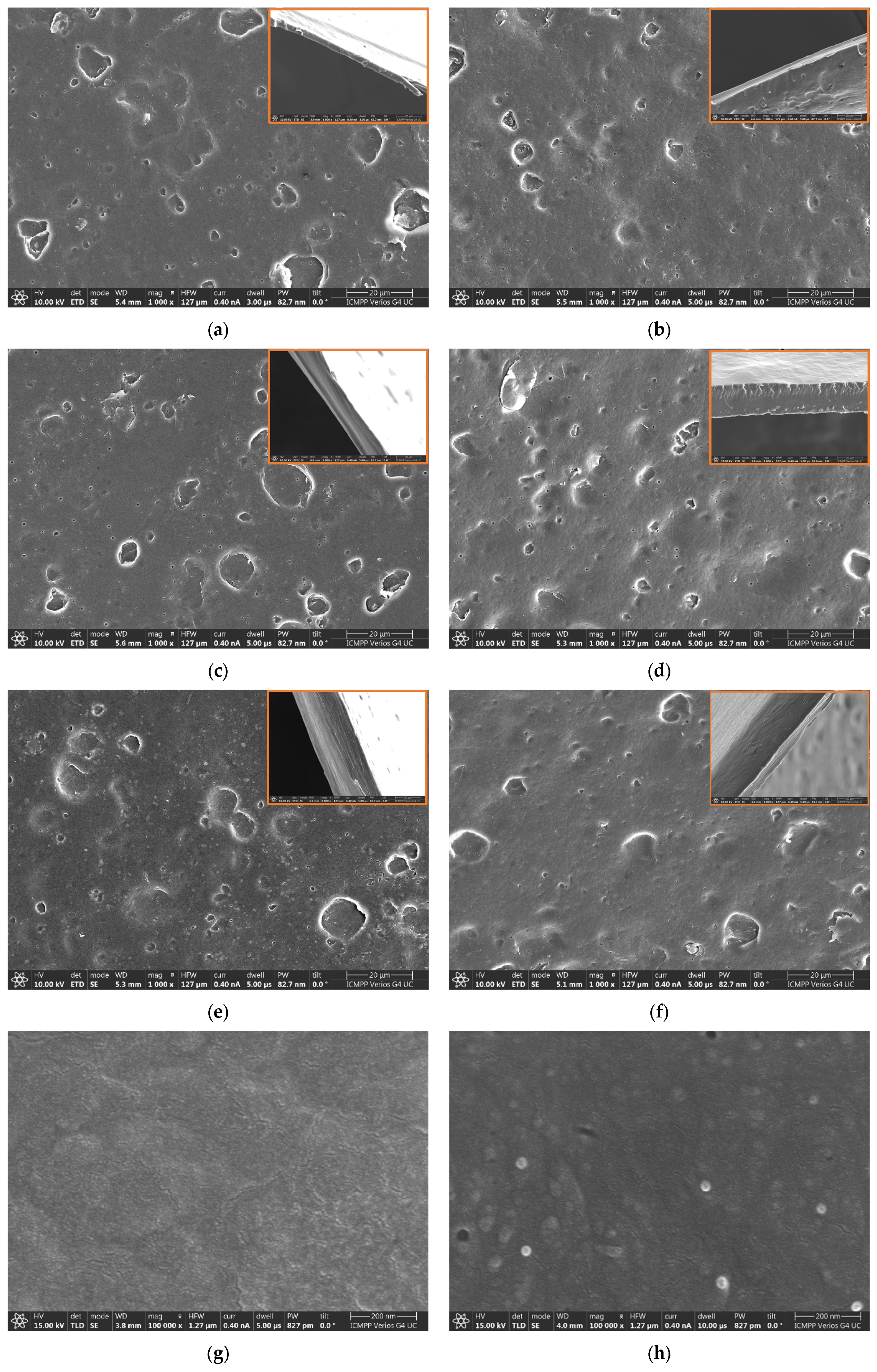 Polymers 17 01869 g006