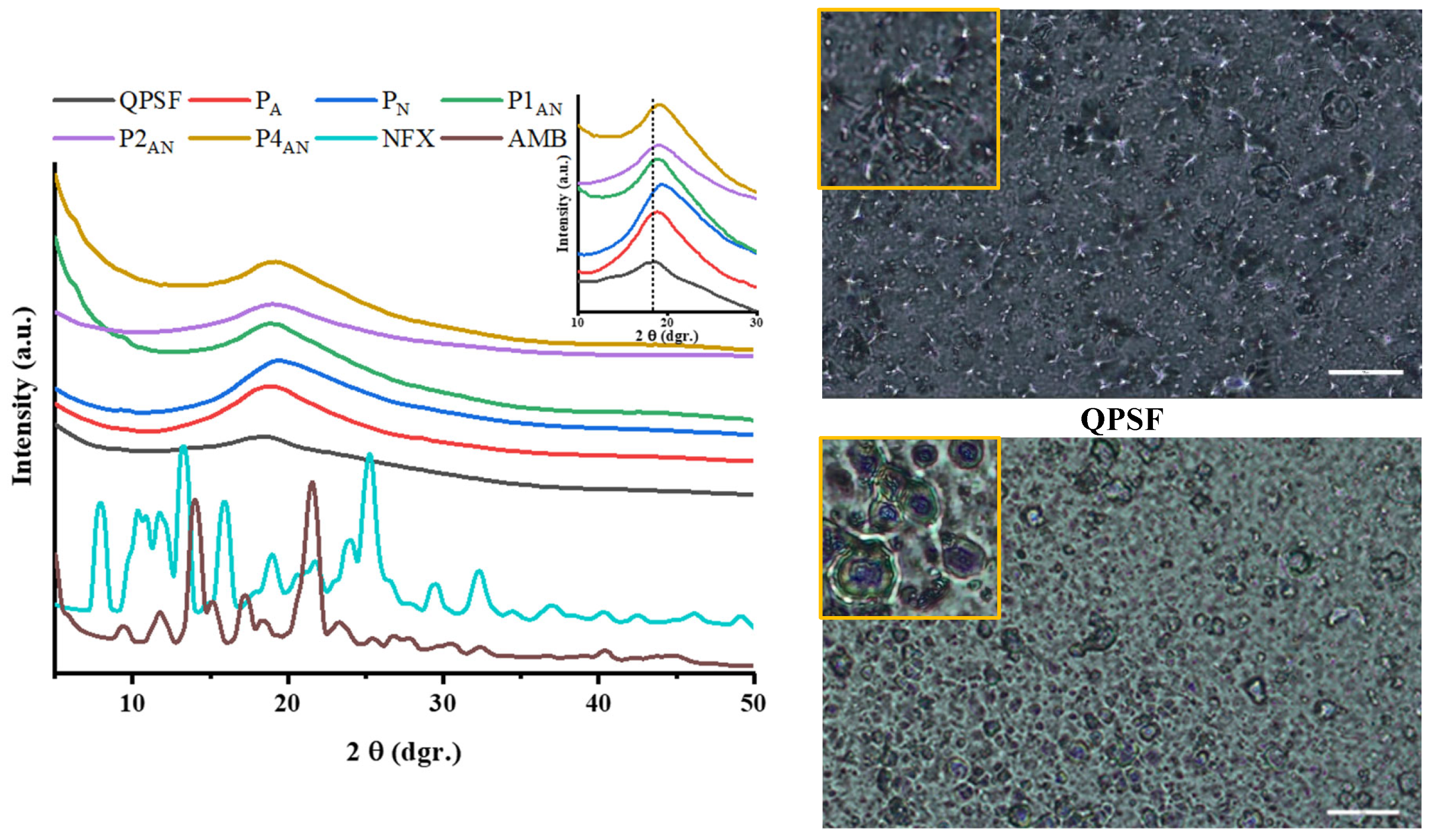Polymers 17 01869 g007a