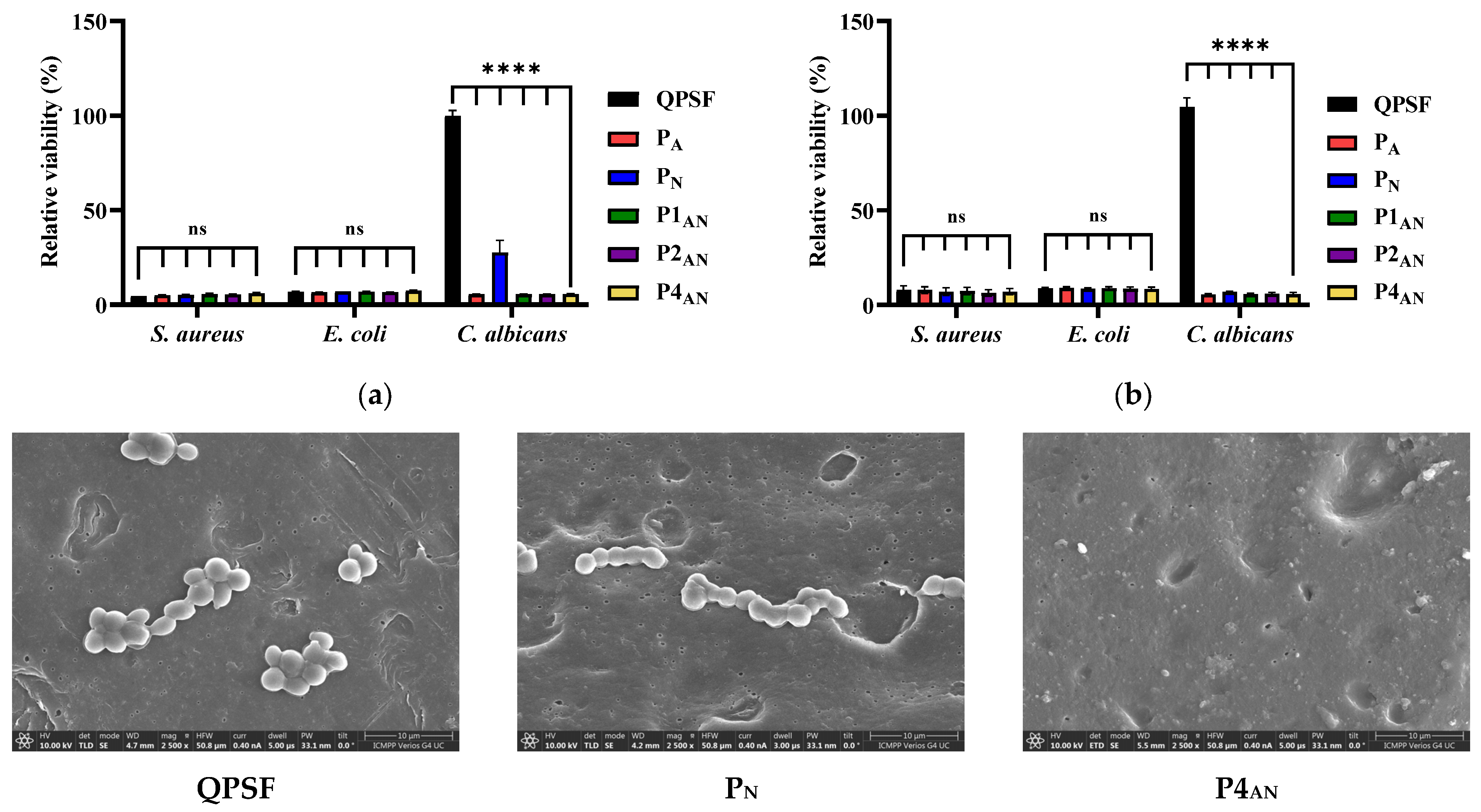 Polymers 17 01869 g011