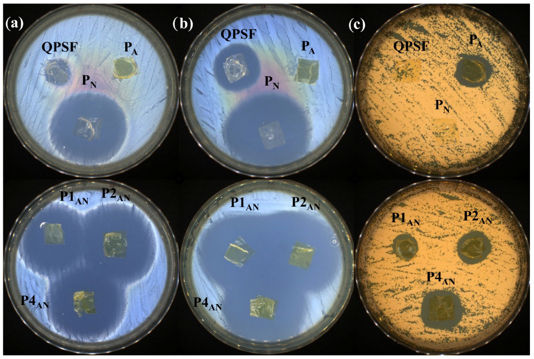 Polymers 17 01869 g012