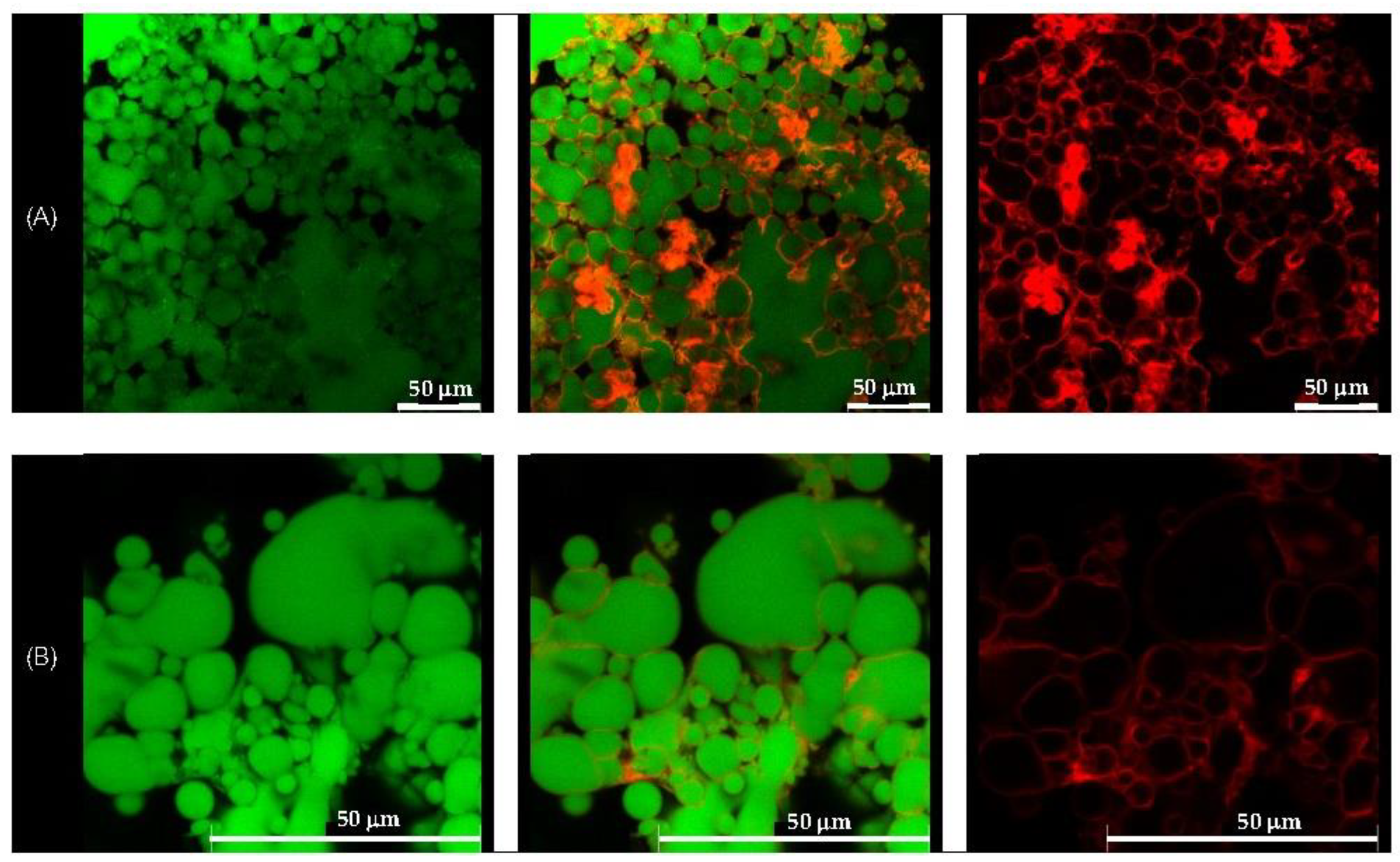 Polymers 17 01871 g005