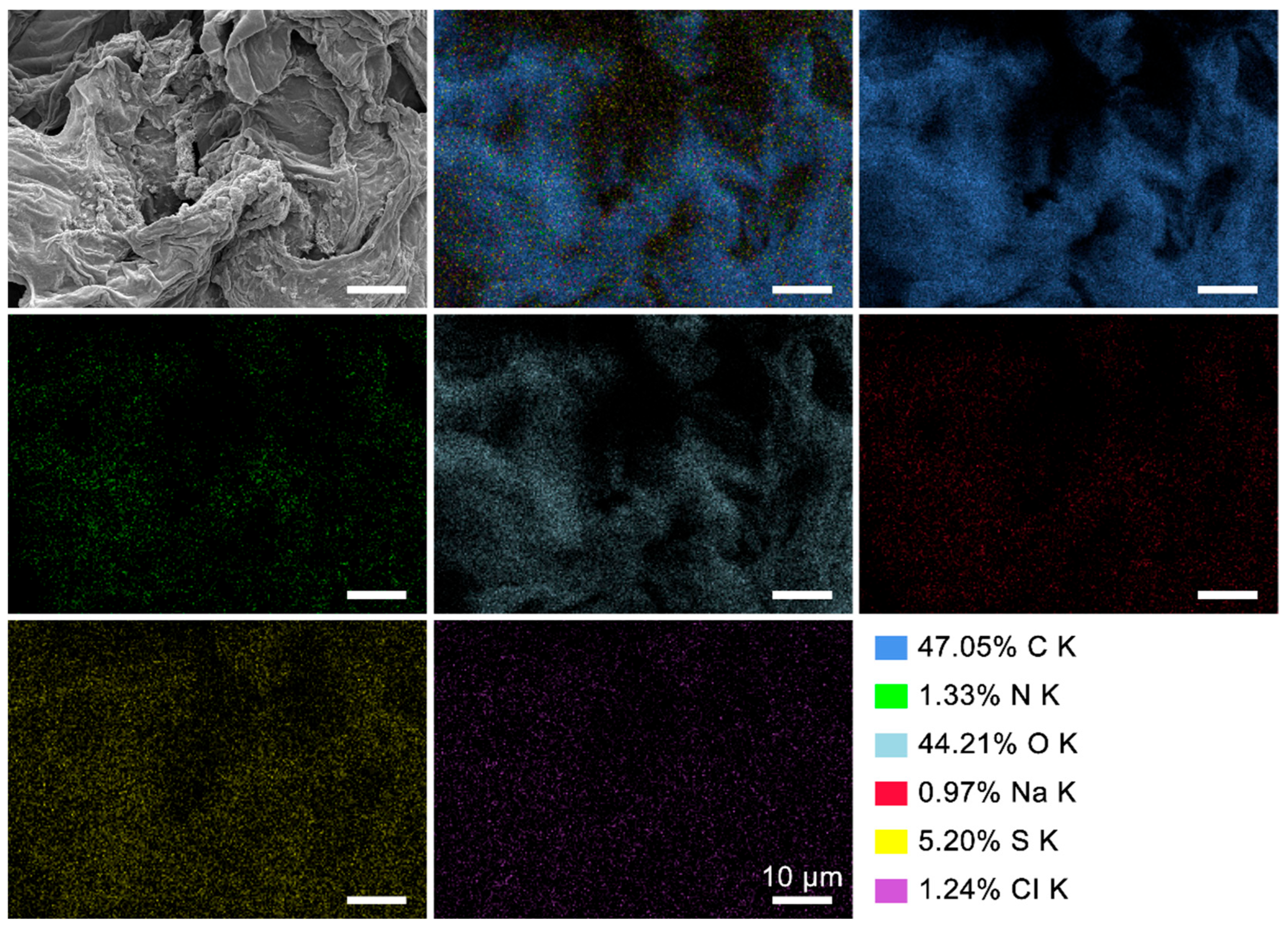 Polymers 17 01875 g003
