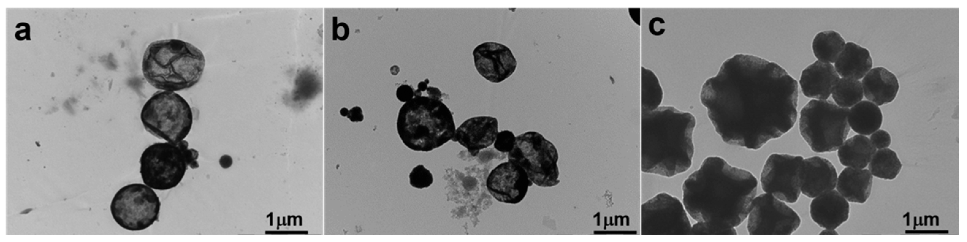 Polymers 17 01876 g004