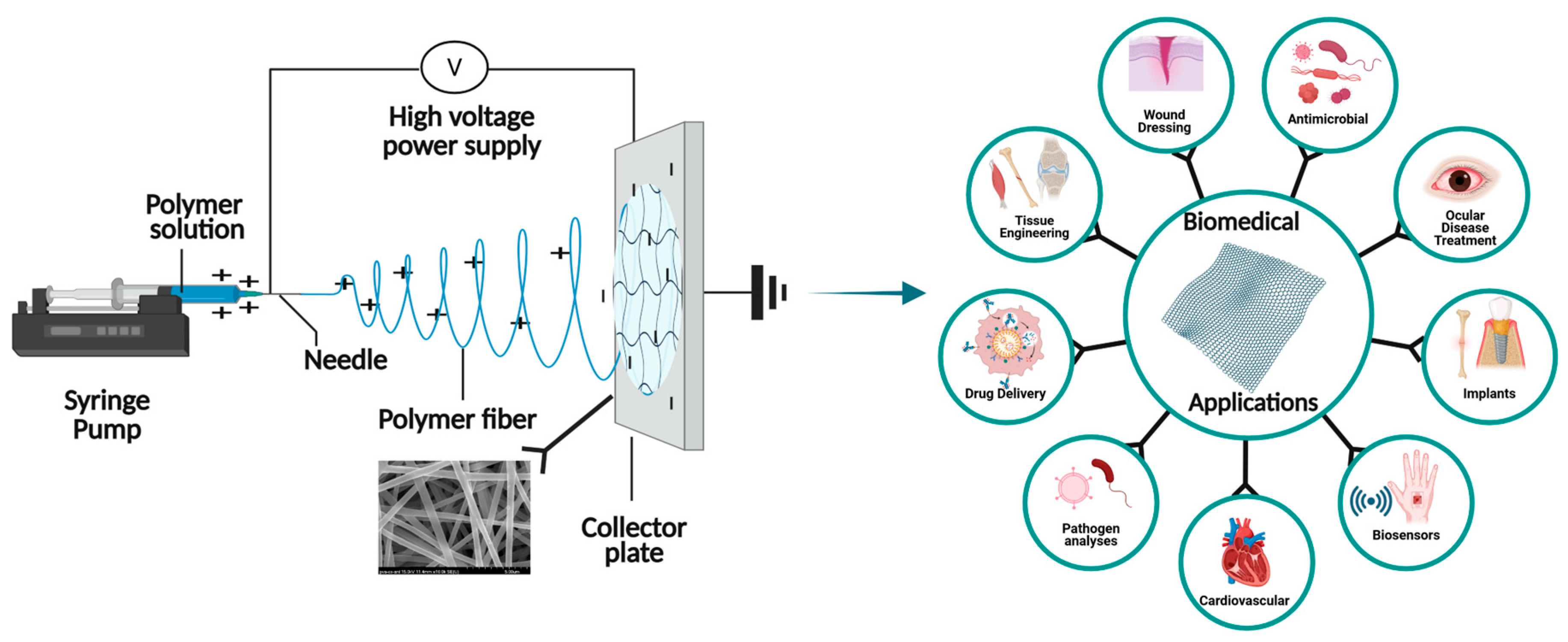 Polymers 17 01878 g001