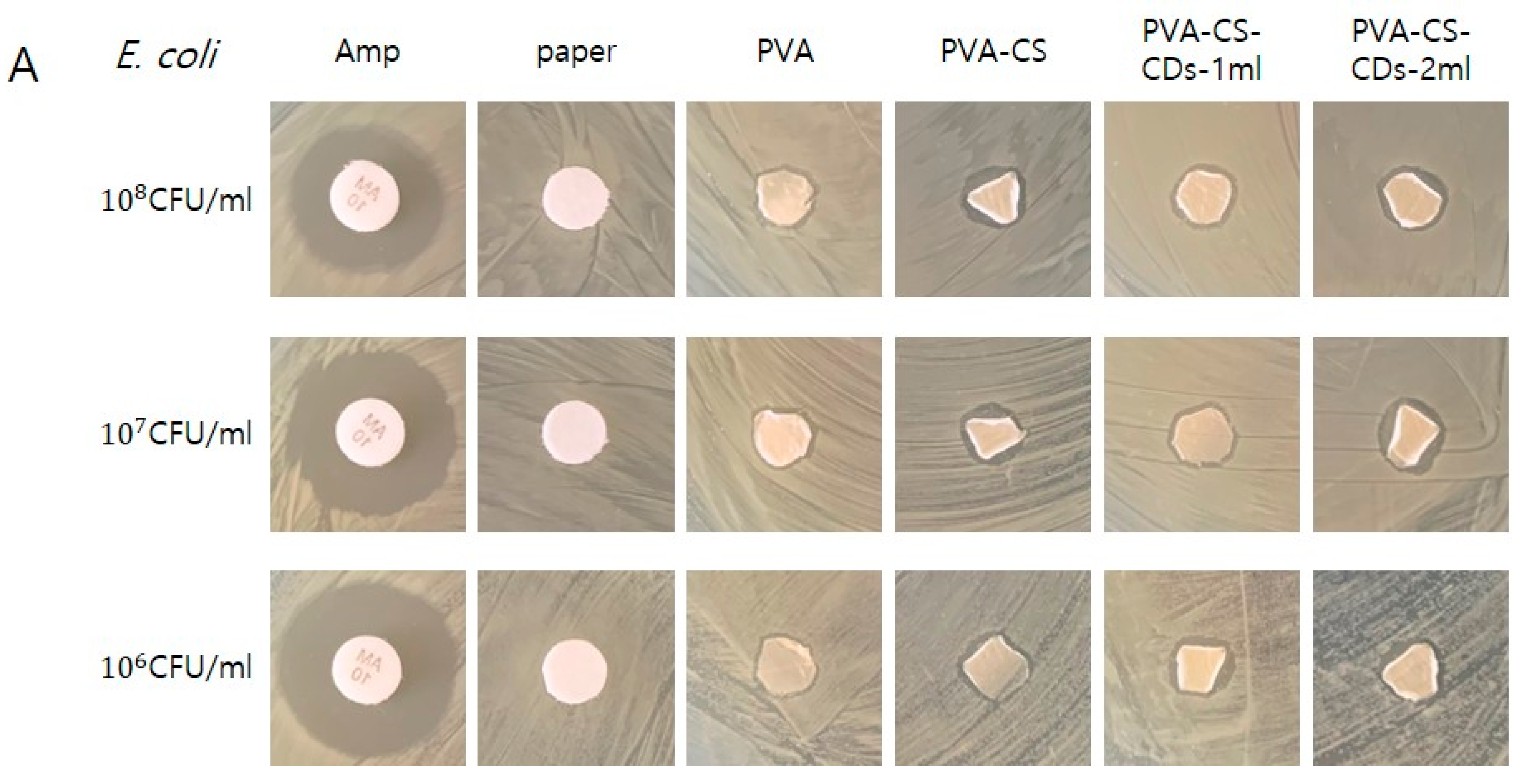 Polymers 17 01878 g005a