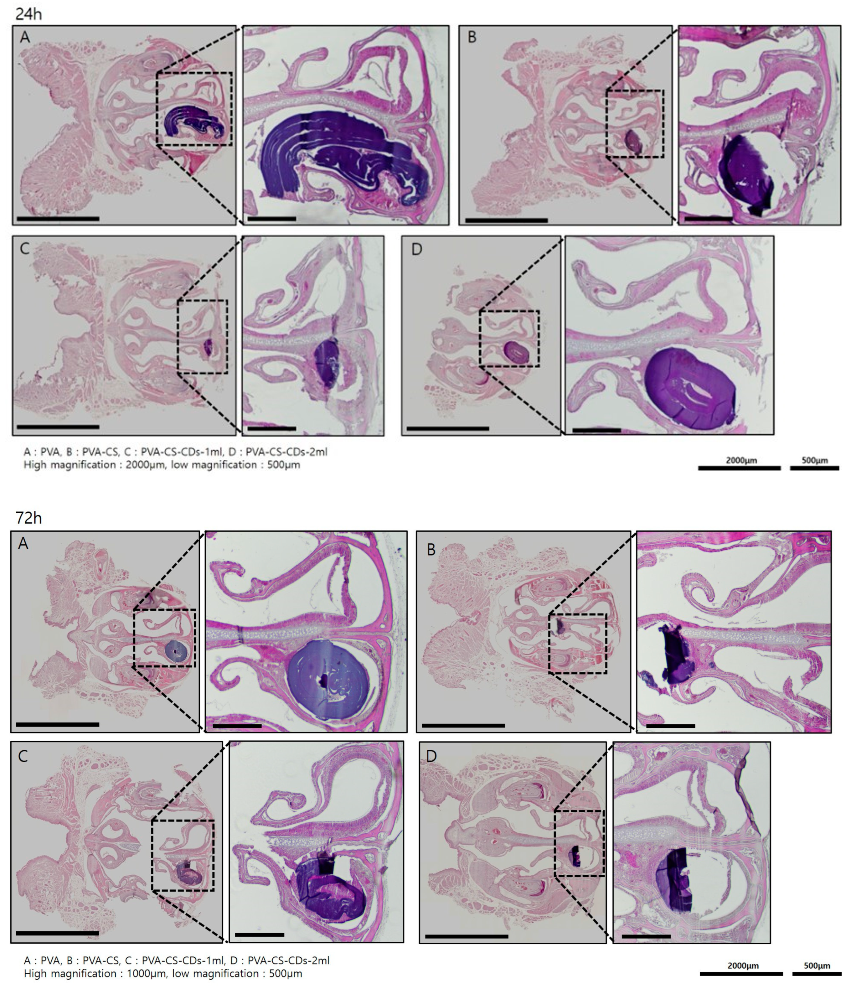 Polymers 17 01878 g006