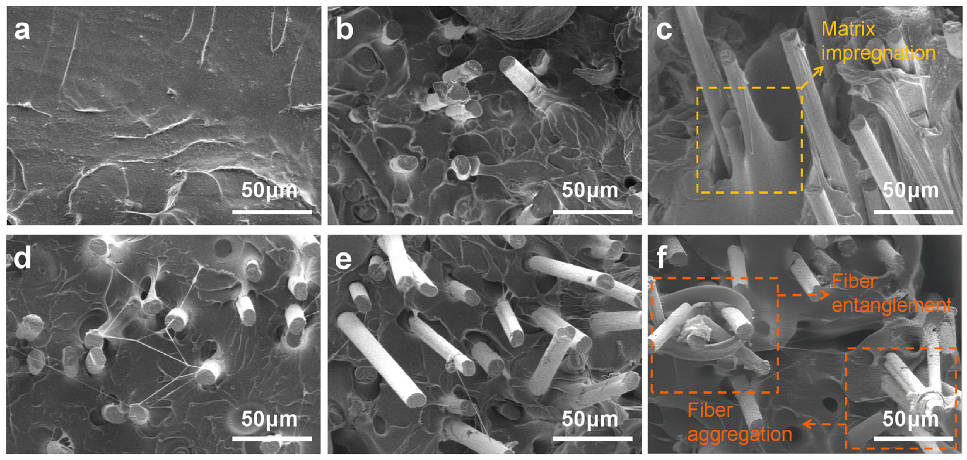 Polymers 17 01880 g007