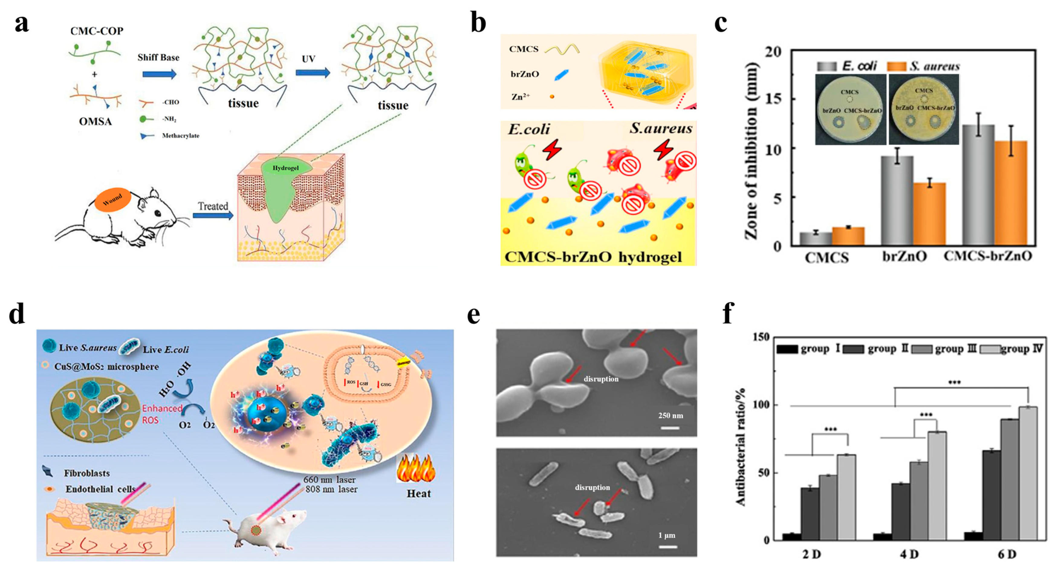 Polymers 17 01881 g003