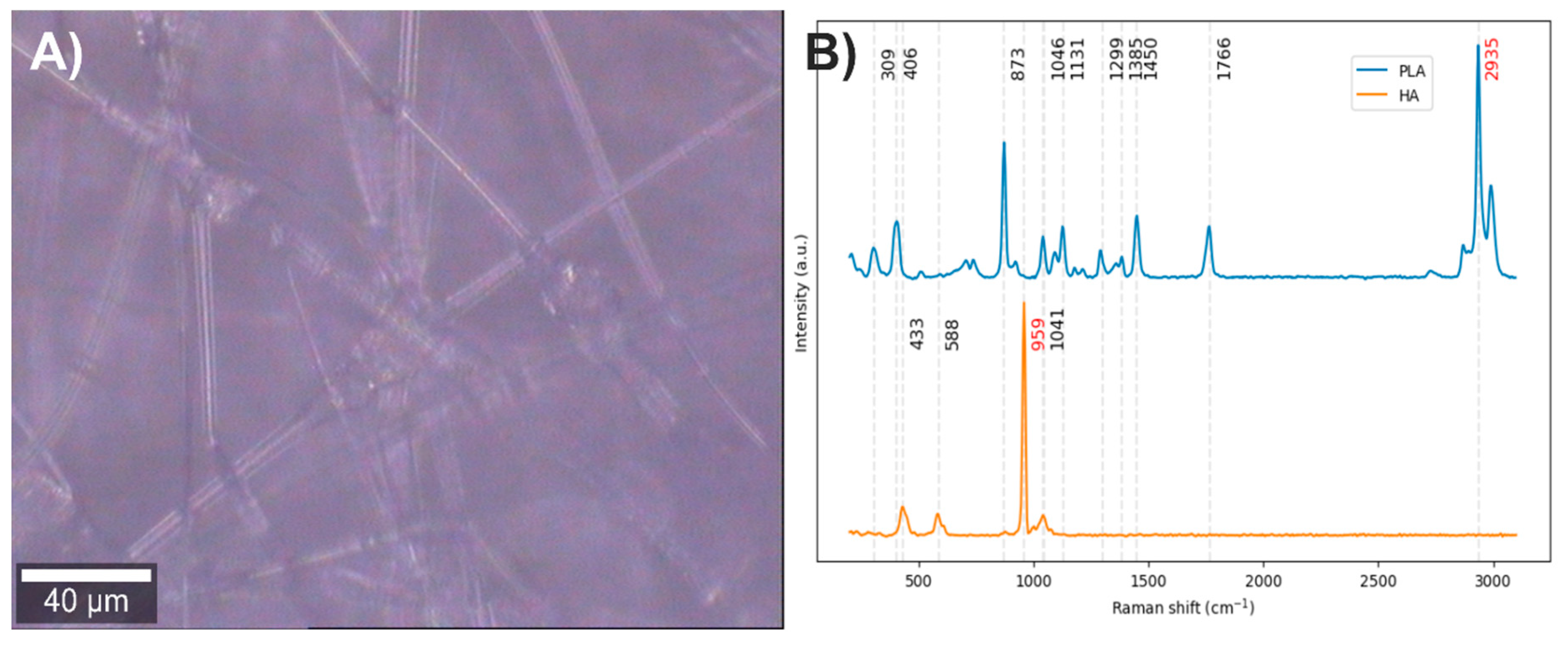 Polymers 17 01883 g002