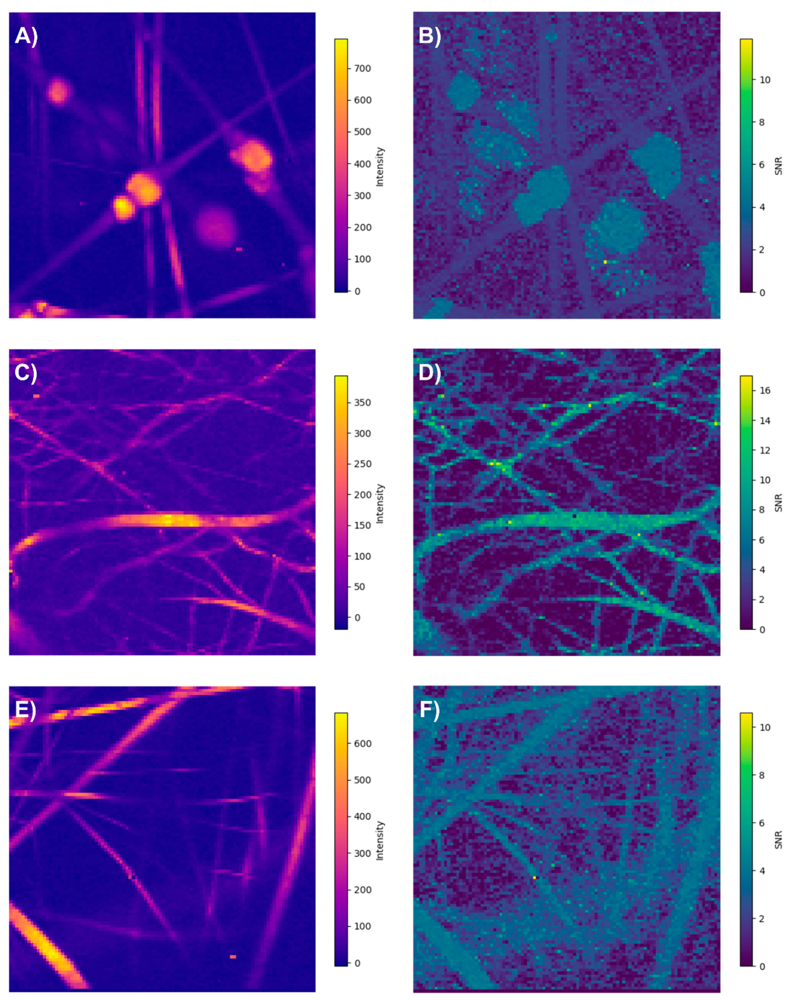 Polymers 17 01883 g019