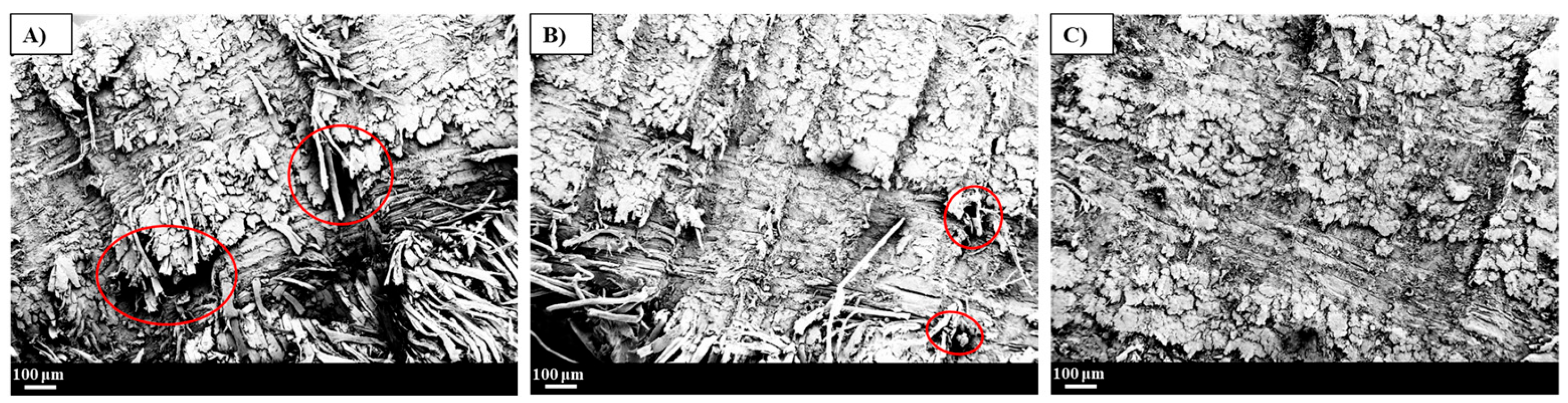 Polymers 17 01891 g005