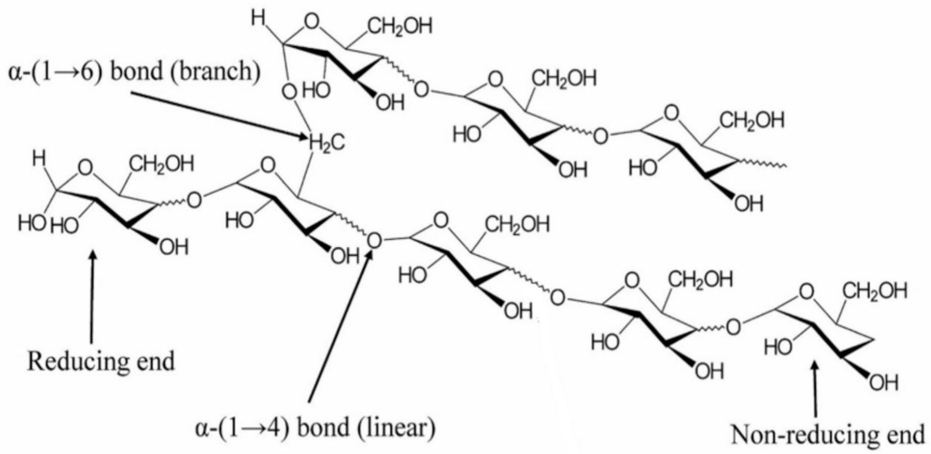Polymers 17 01897 g005