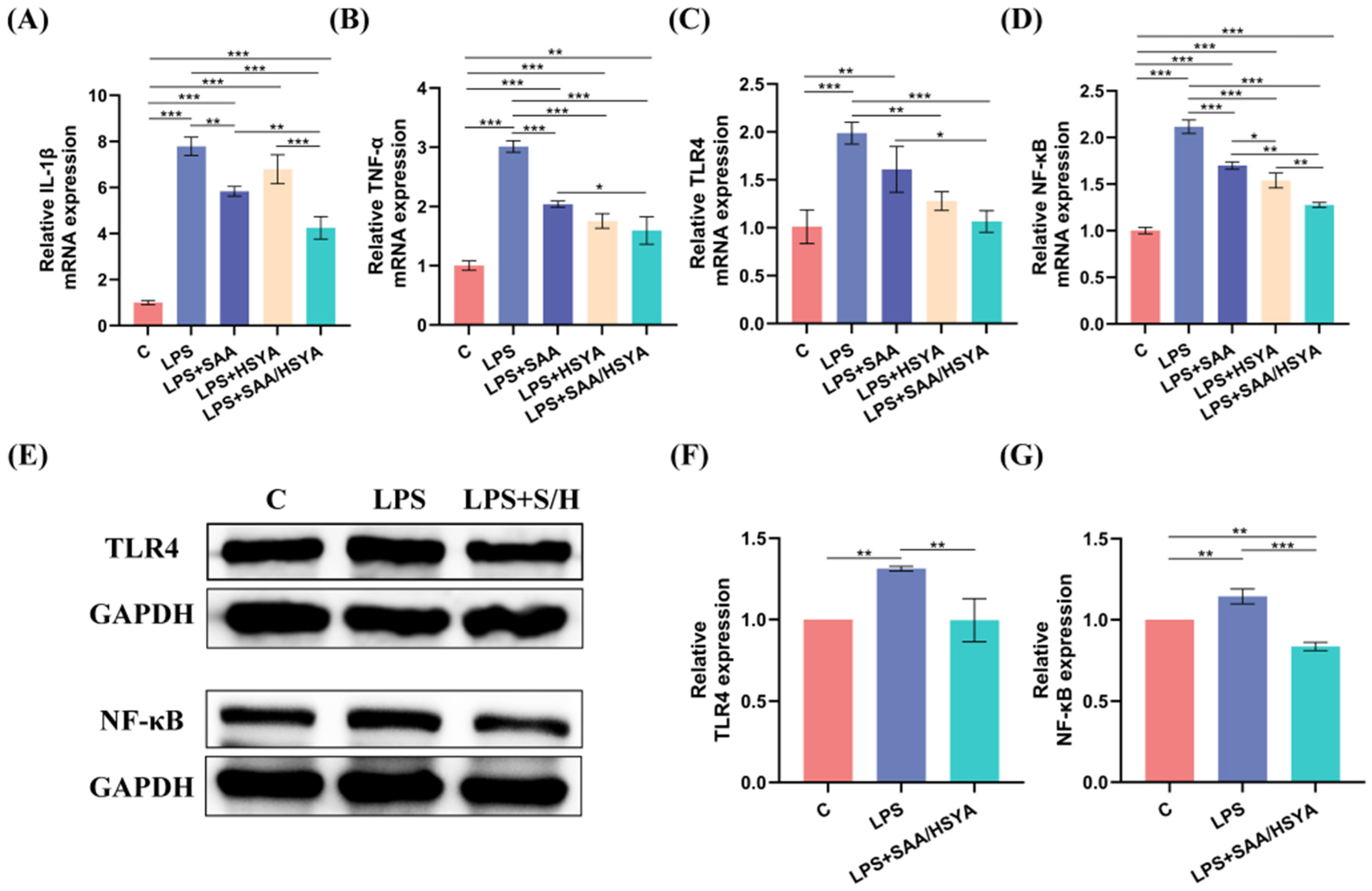 Polymers 17 01900 g003