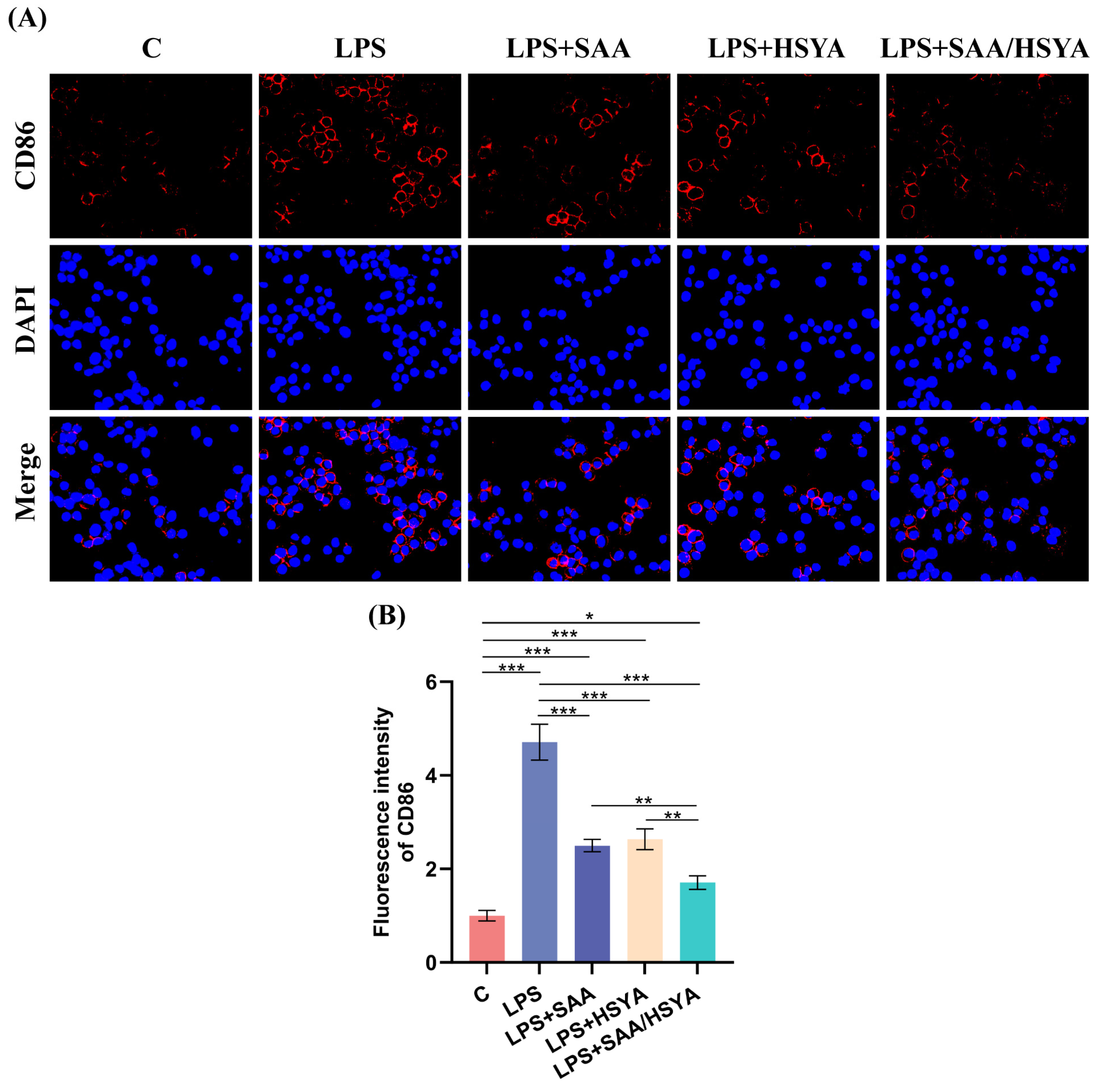 Polymers 17 01900 g004