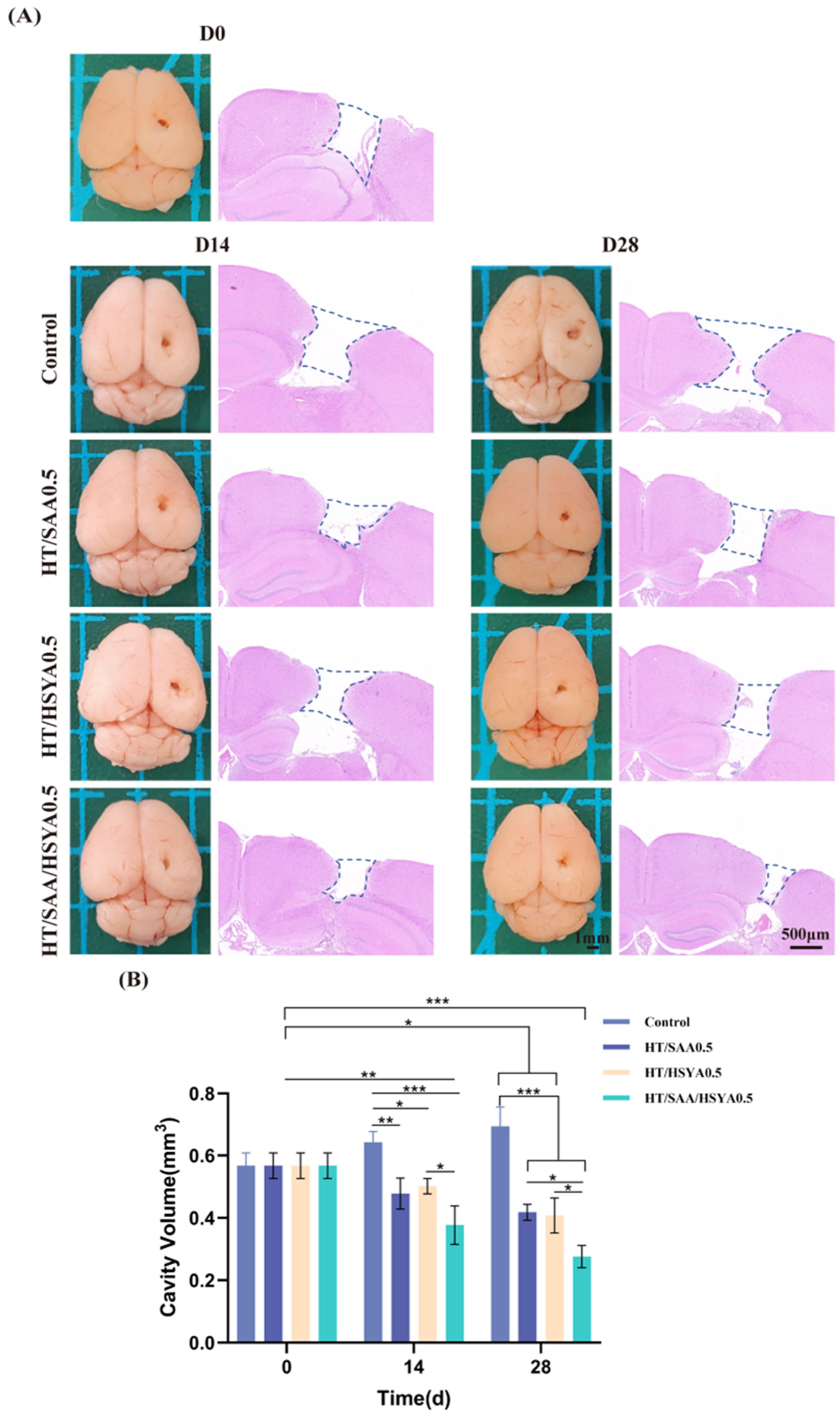 Polymers 17 01900 g007