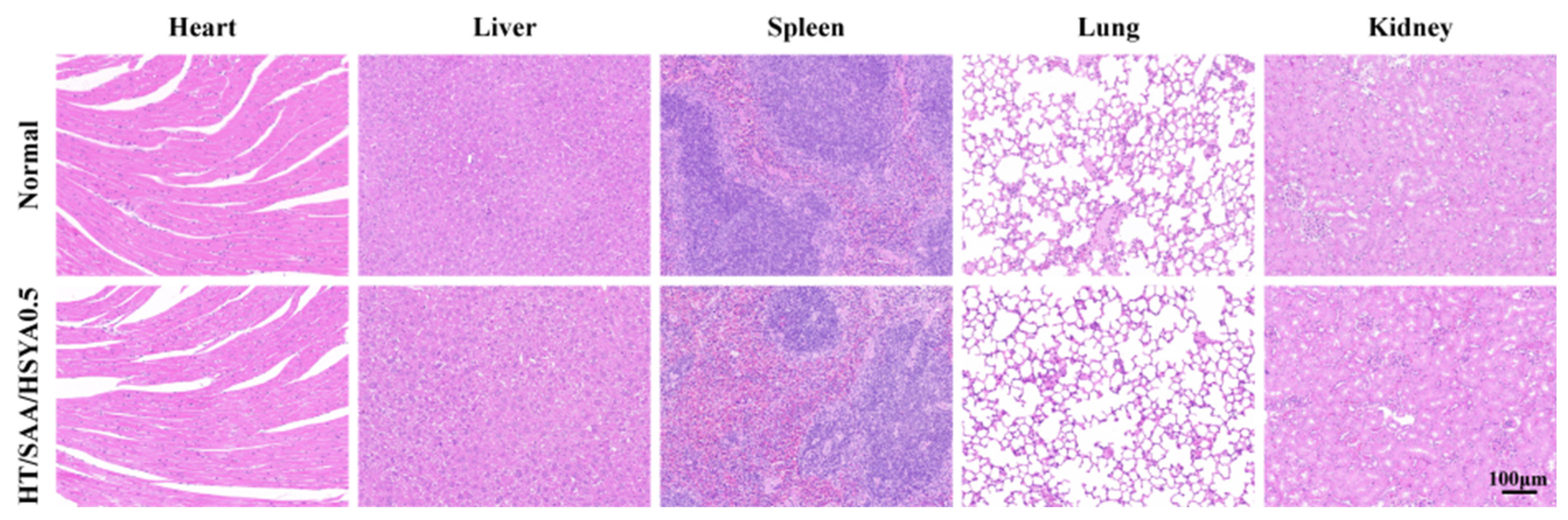 Polymers 17 01900 g008