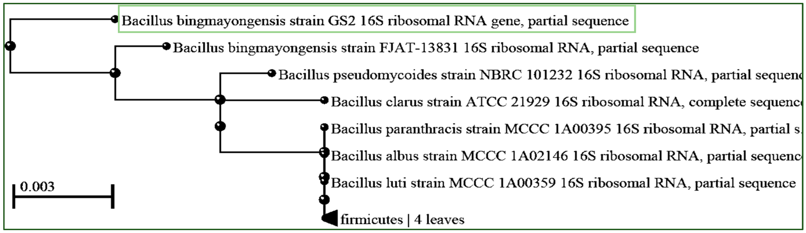 Polymers 17 01904 g001