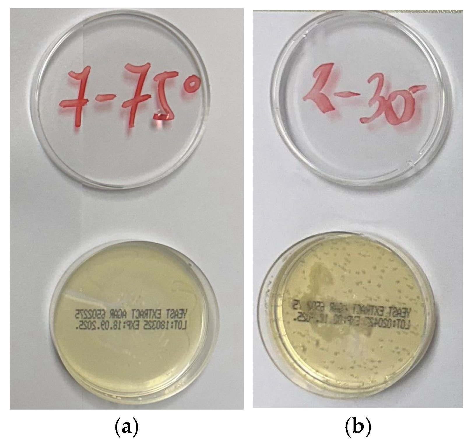 Polymers 17 01906 g006
