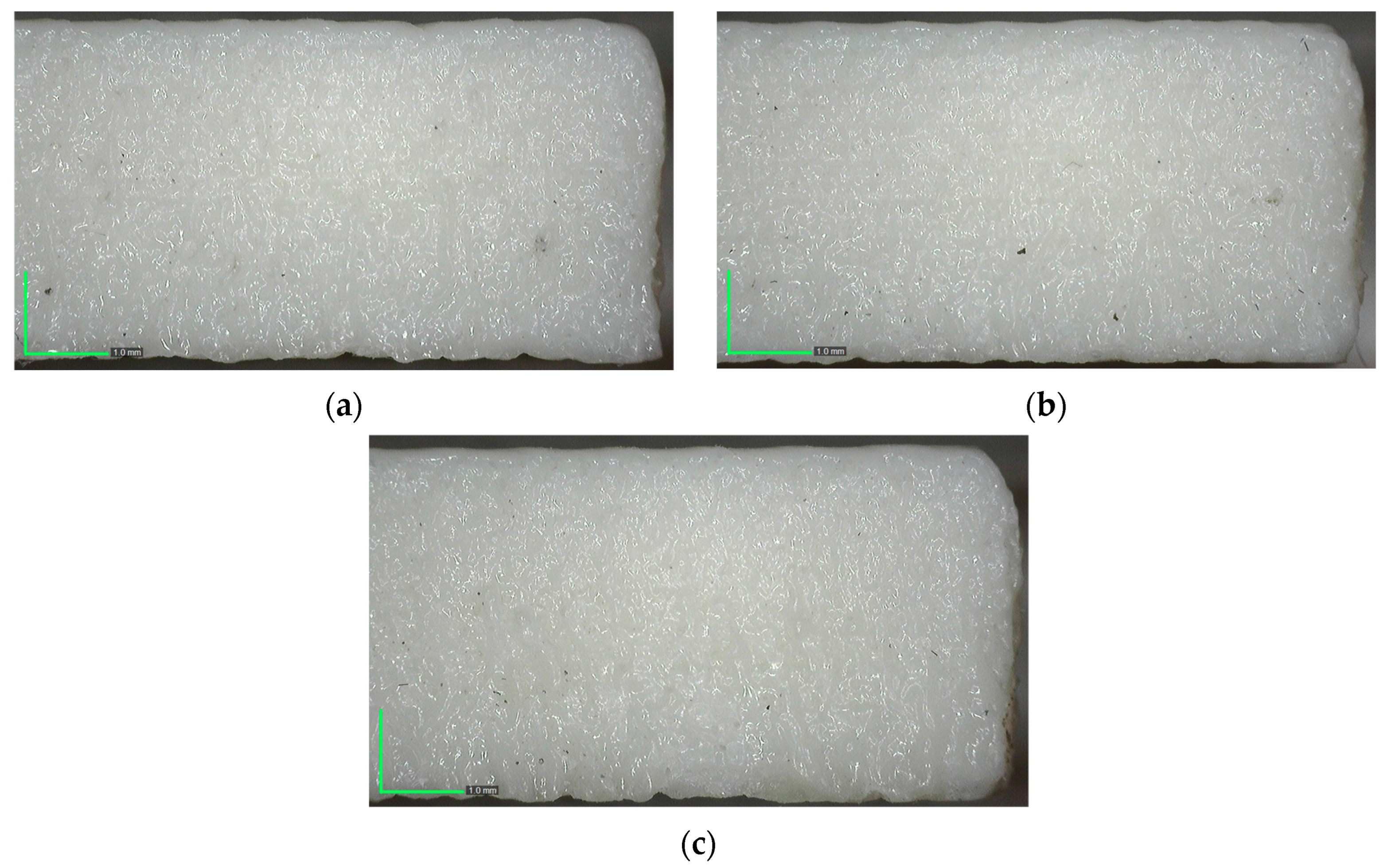 Polymers 17 01910 g007