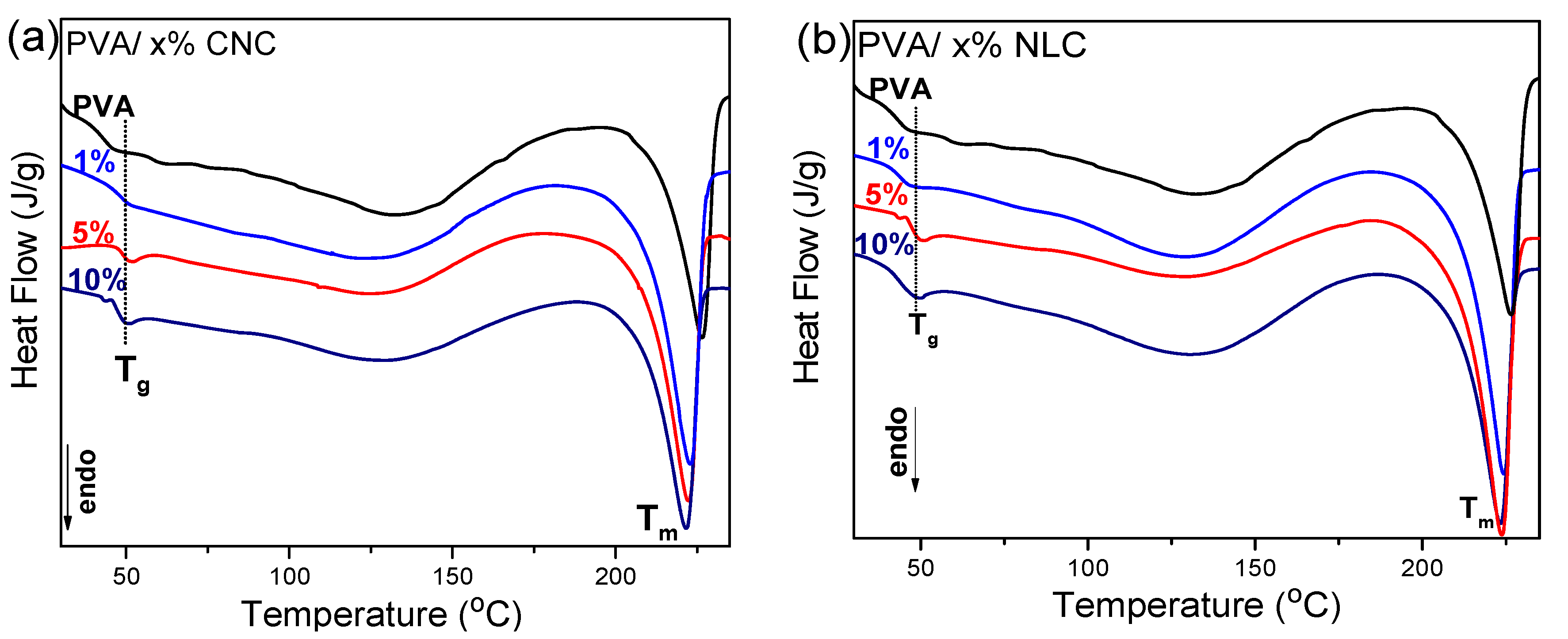 Polymers 17 01911 g006