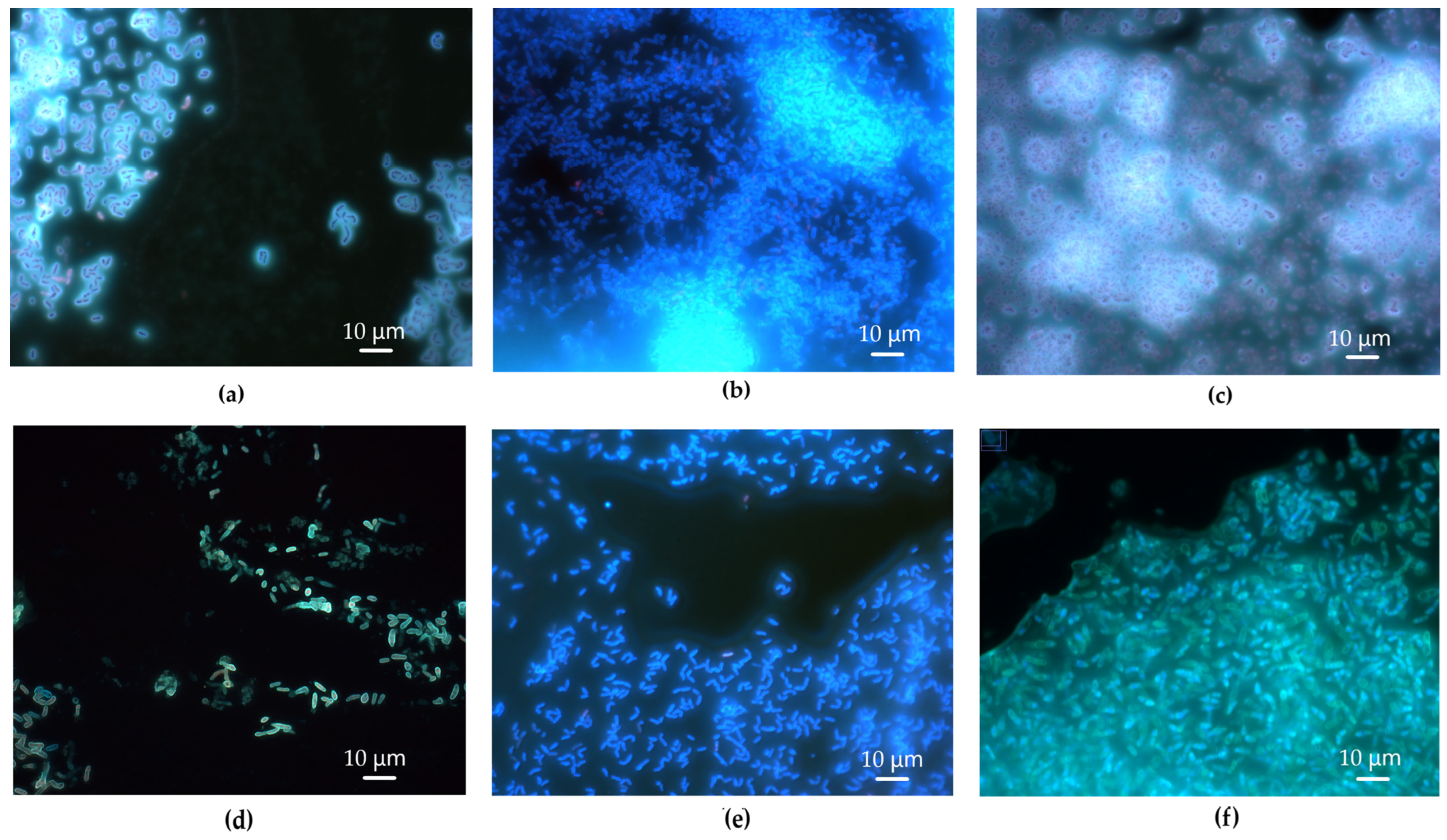 Polymers 17 01912 g004
