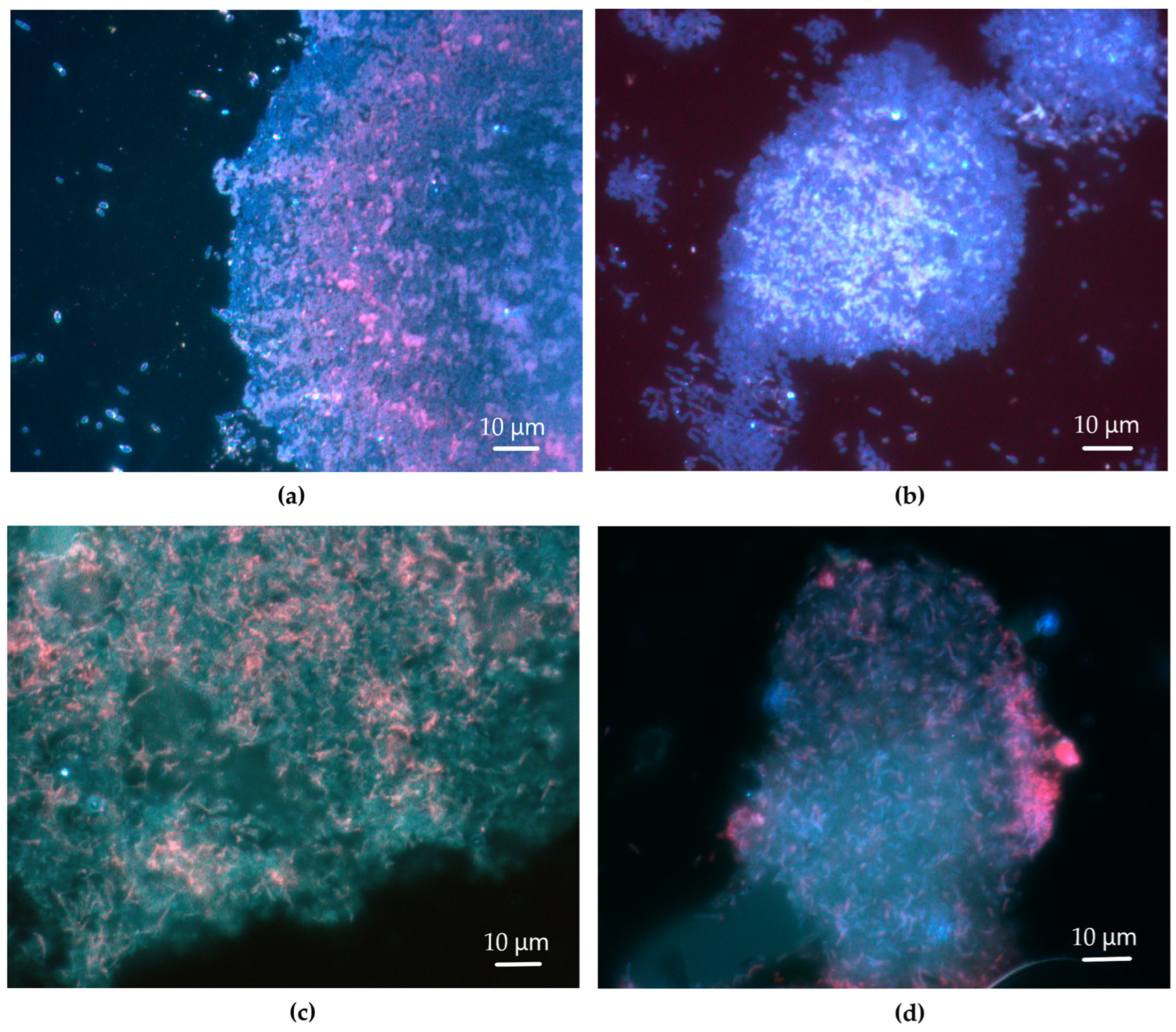 Polymers 17 01912 g005