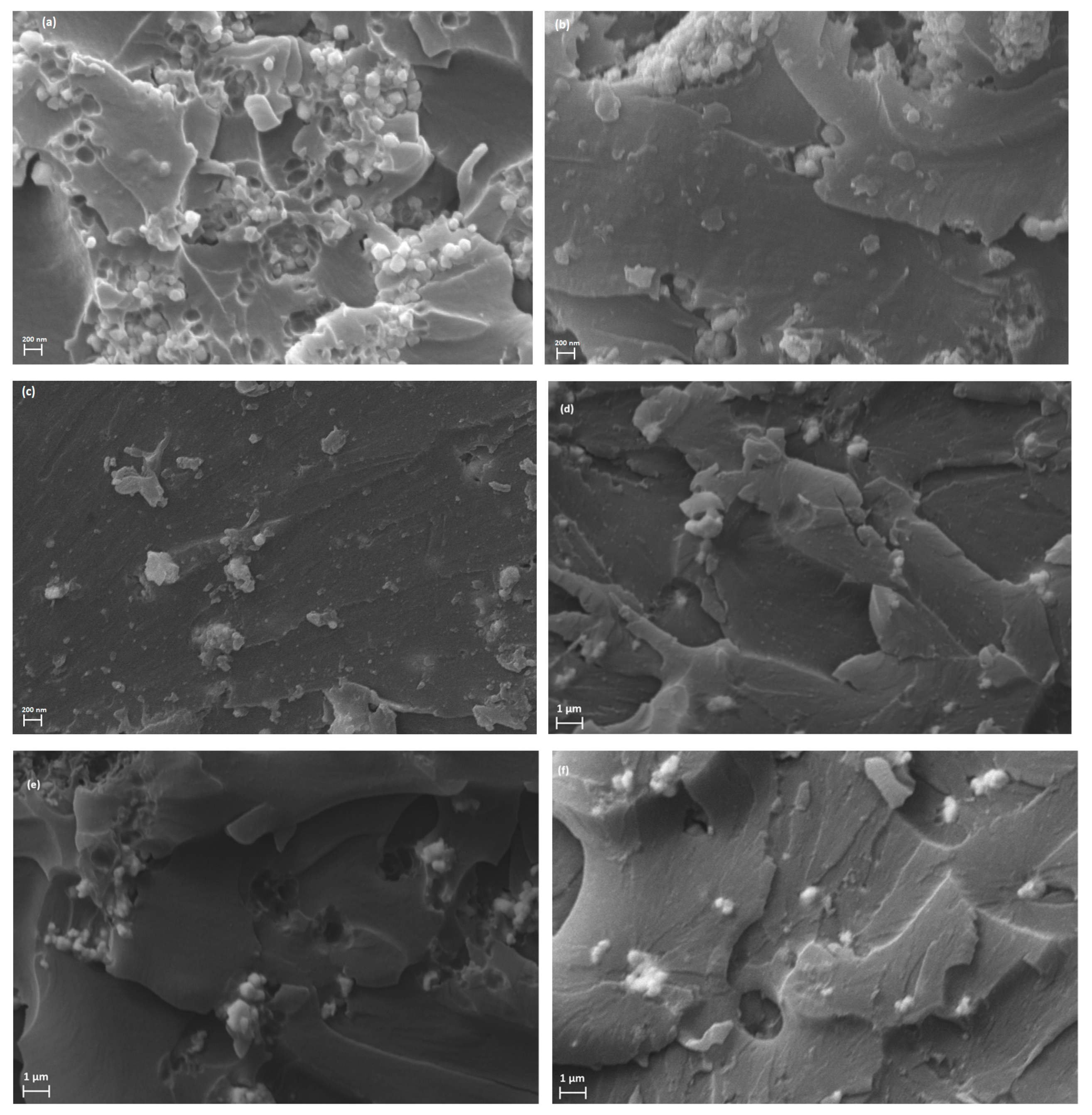 Polymers 17 01913 g002