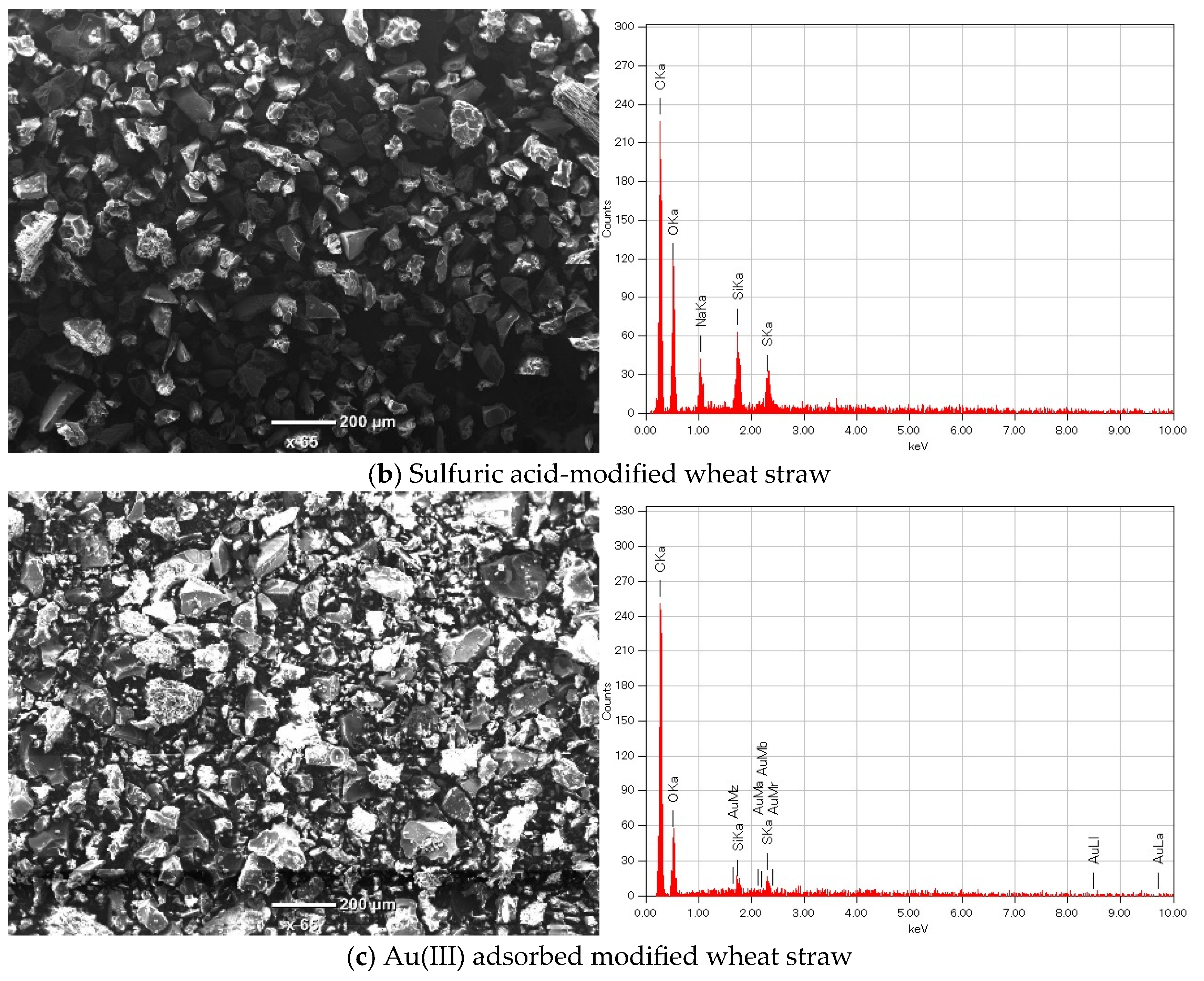 Polymers 17 01914 g002b Polymers 17 01914 g002b