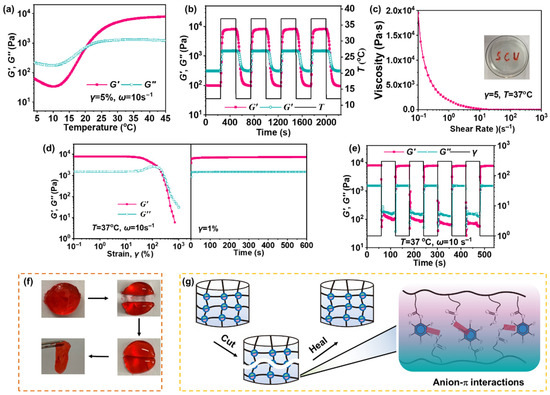 Temperature-Responsive and Self-Healing Hydrogel: A Novel
