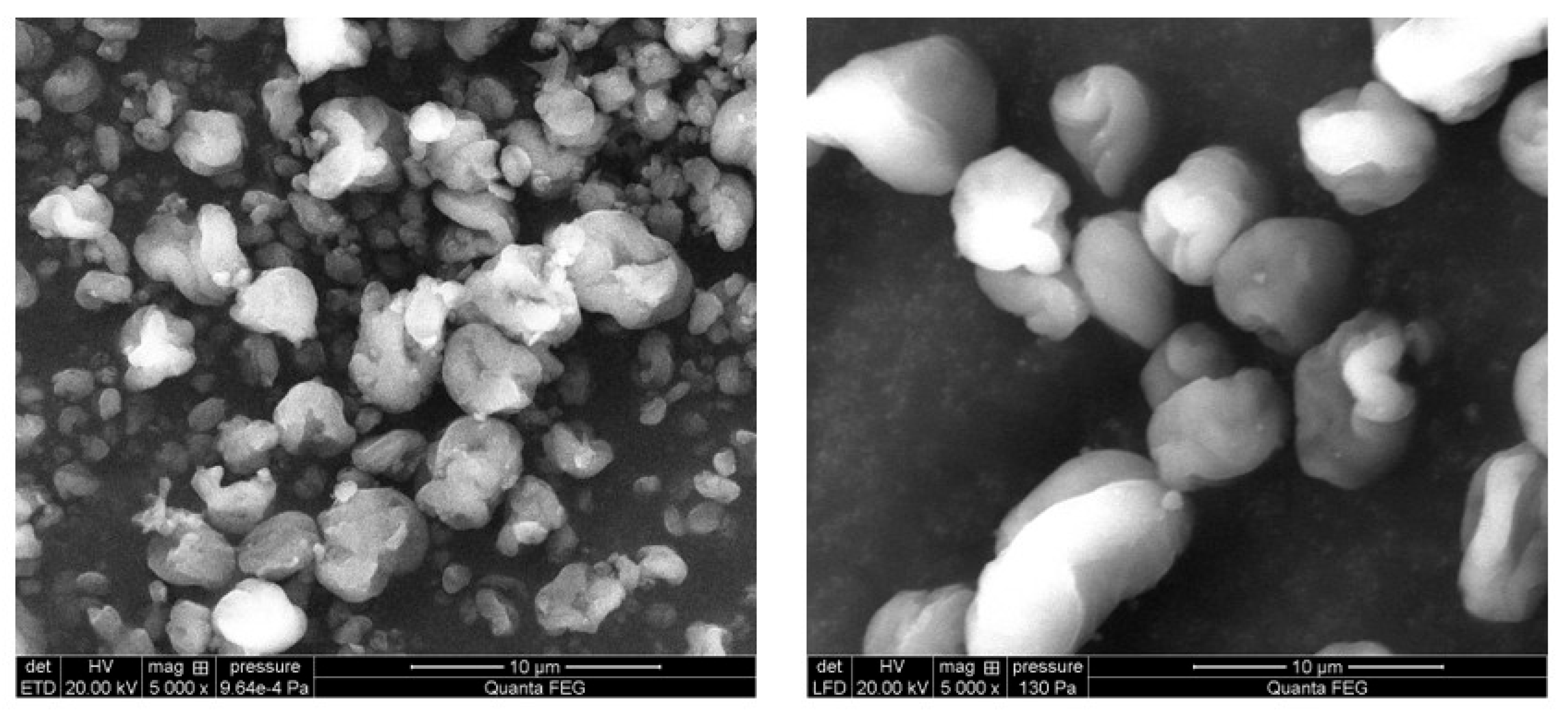 Polymers 17 01926 g001