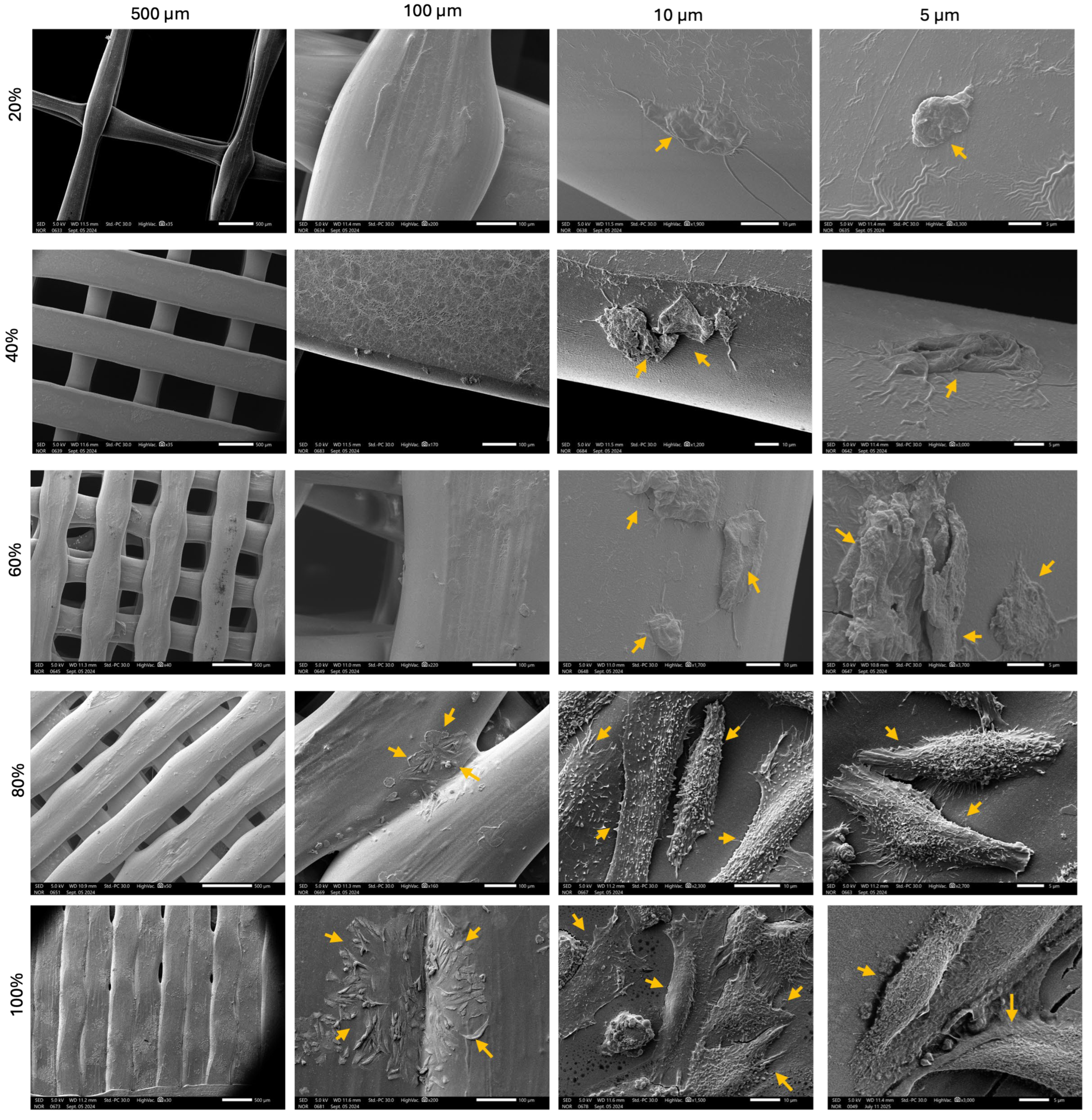 Polymers 17 01928 g006