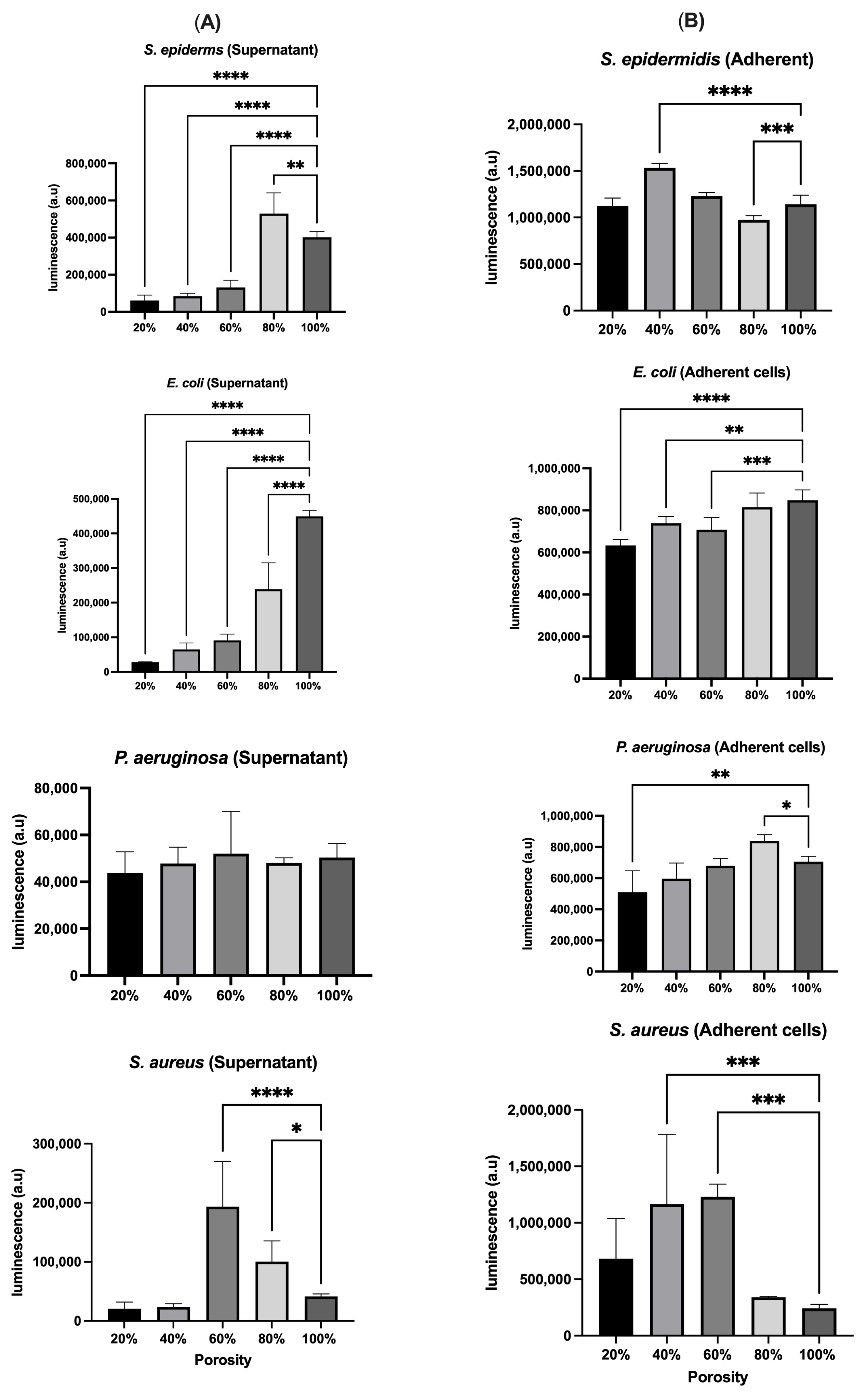 Polymers 17 01928 g008