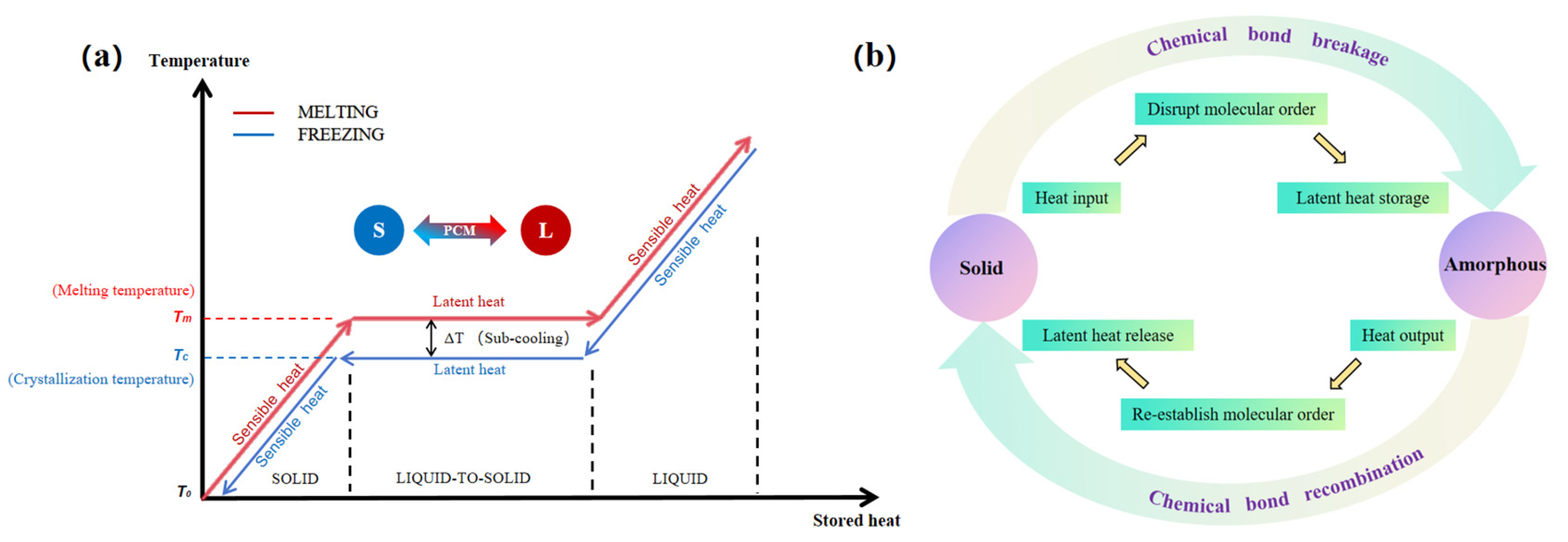 Polymers 17 01933 g002