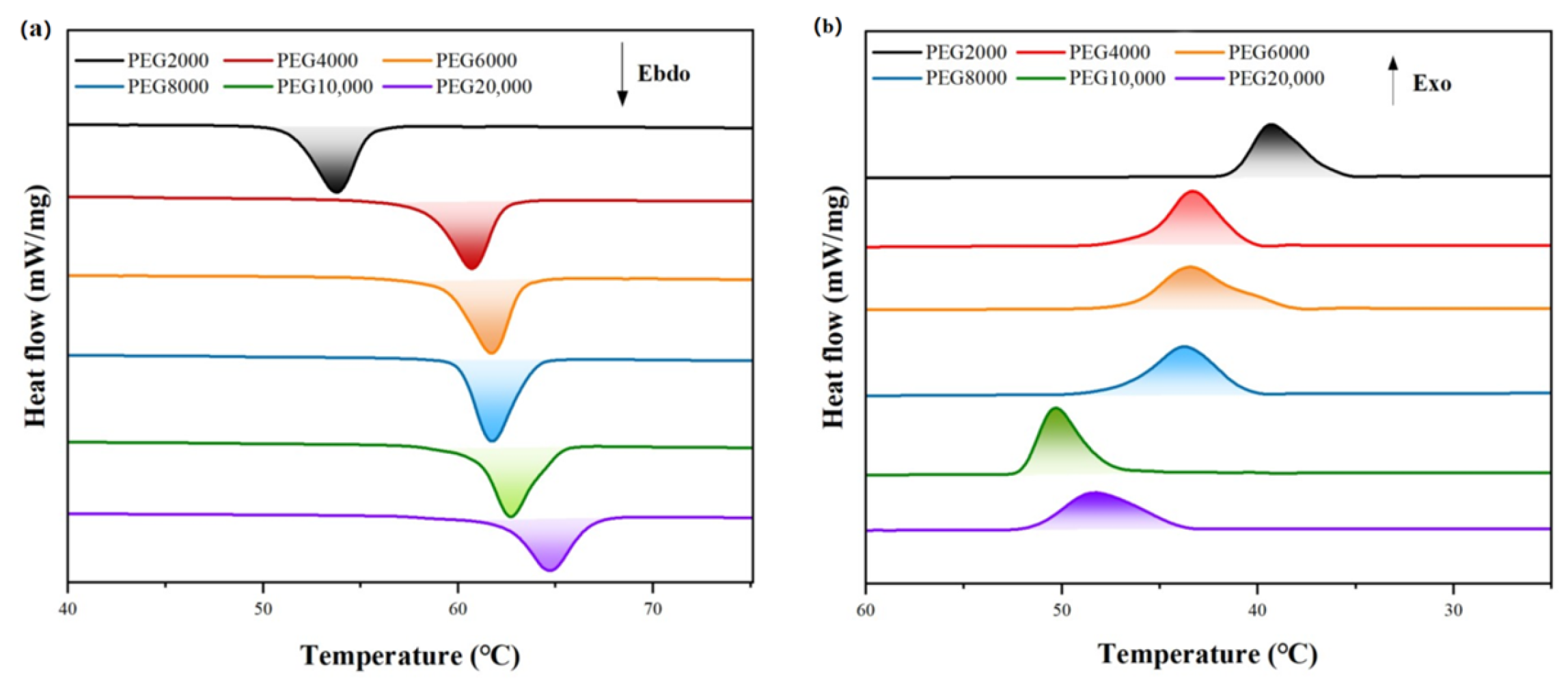 Polymers 17 01933 g005