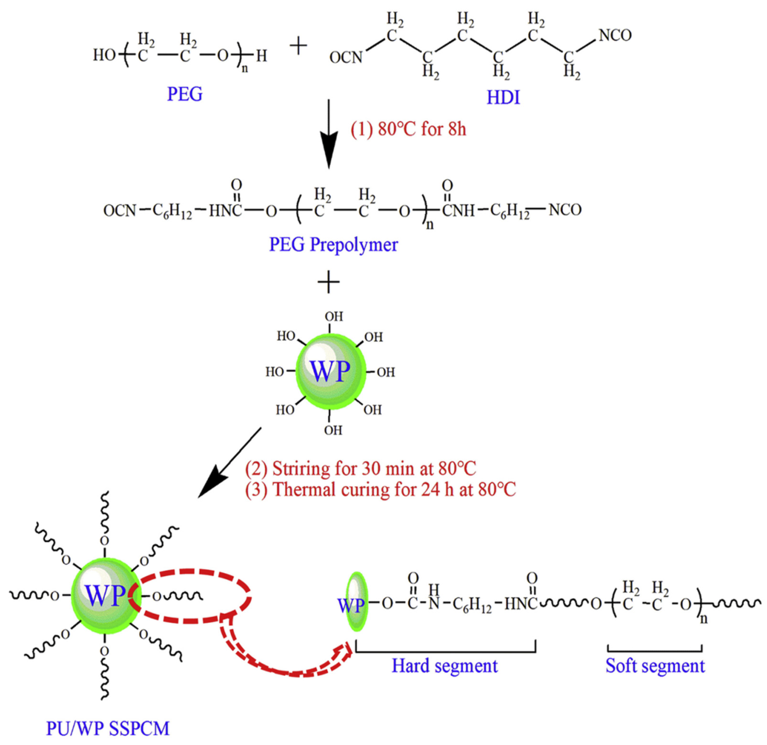 Polymers 17 01933 g008