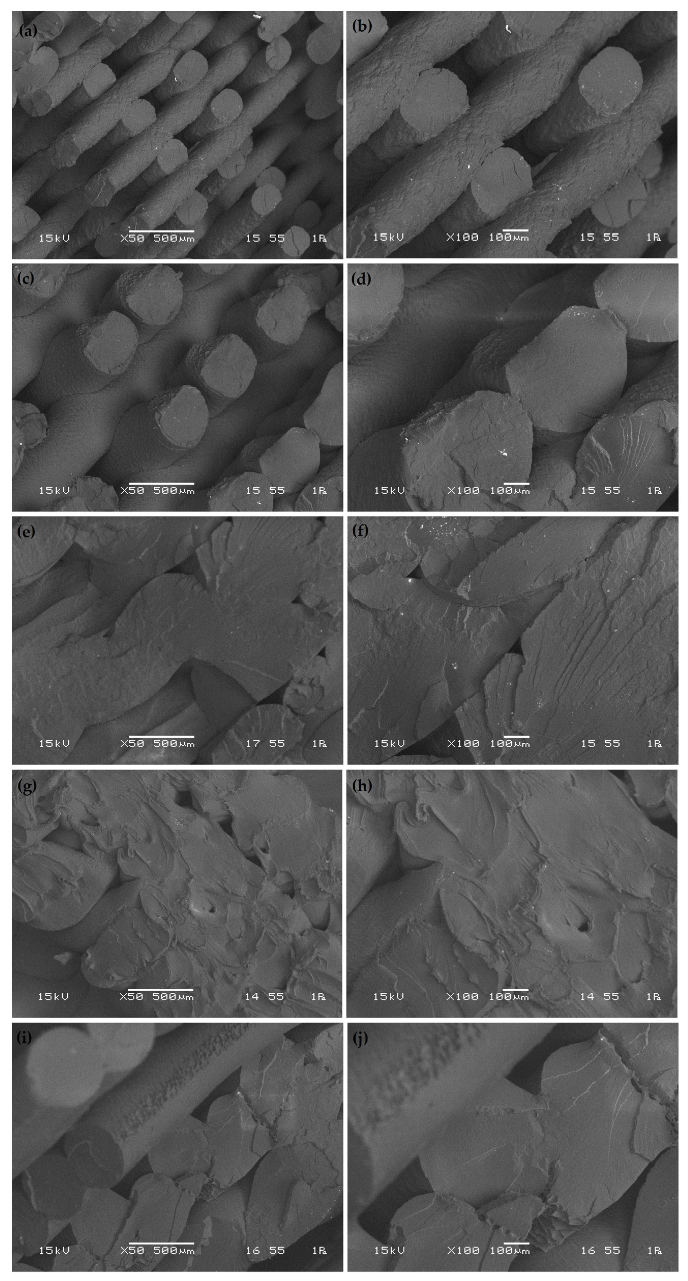 Polymers 17 01934 g014