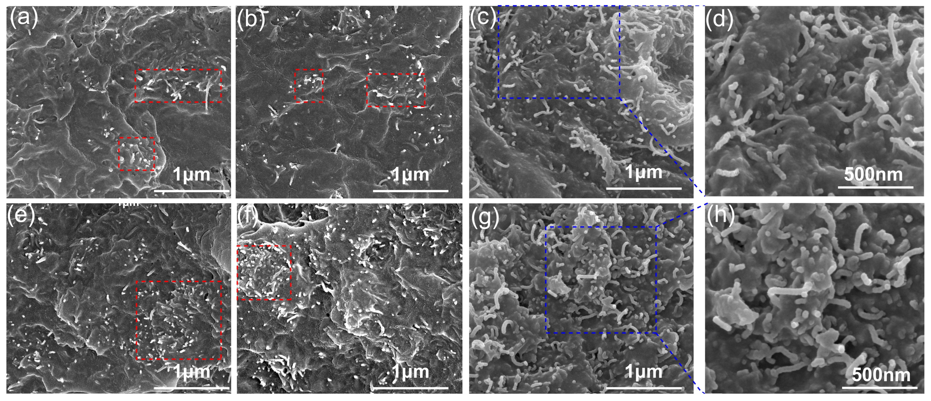 Polymers 17 01940 g001 Polymers 17 01940 g001