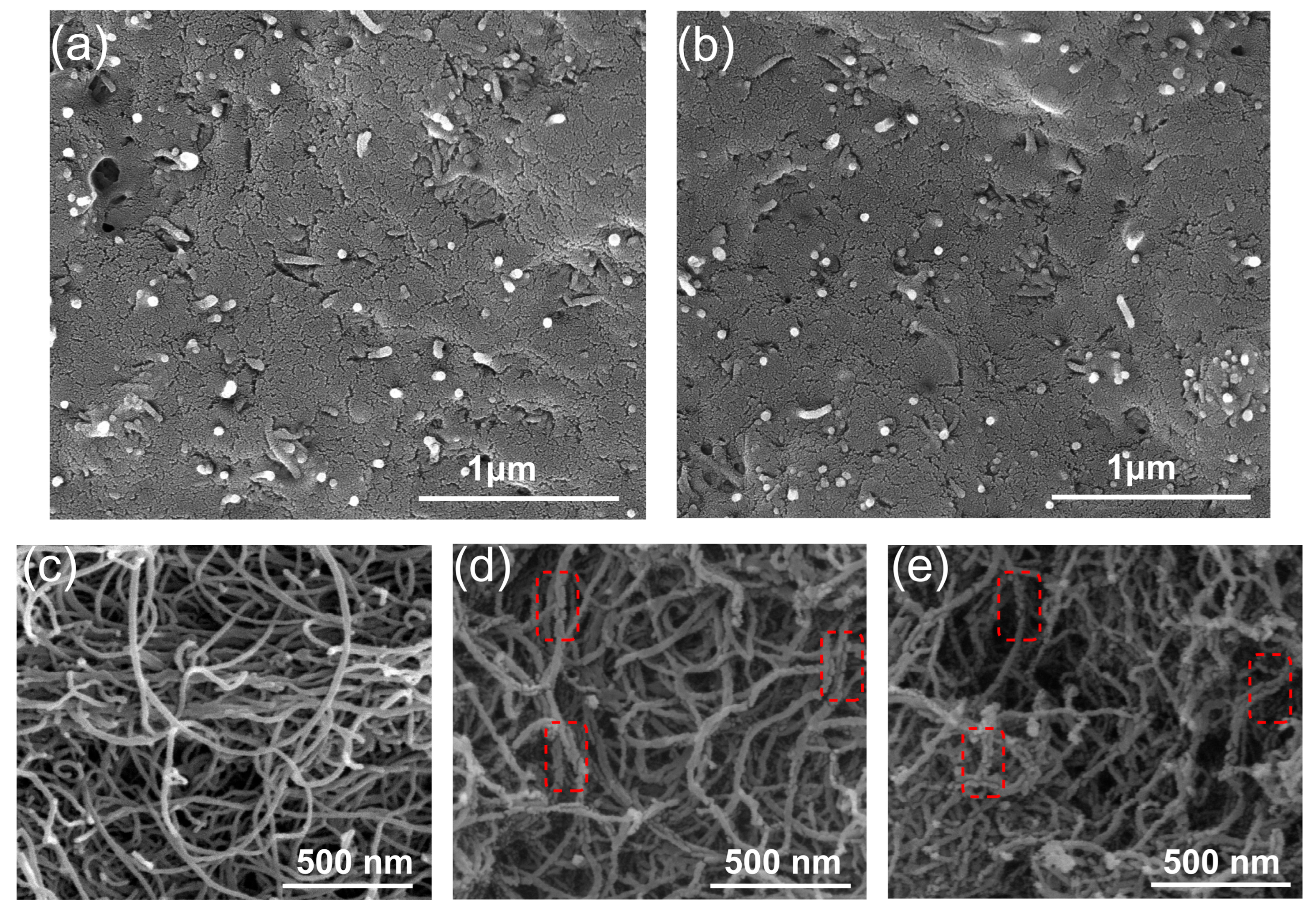 Polymers 17 01940 g007 Polymers 17 01940 g007