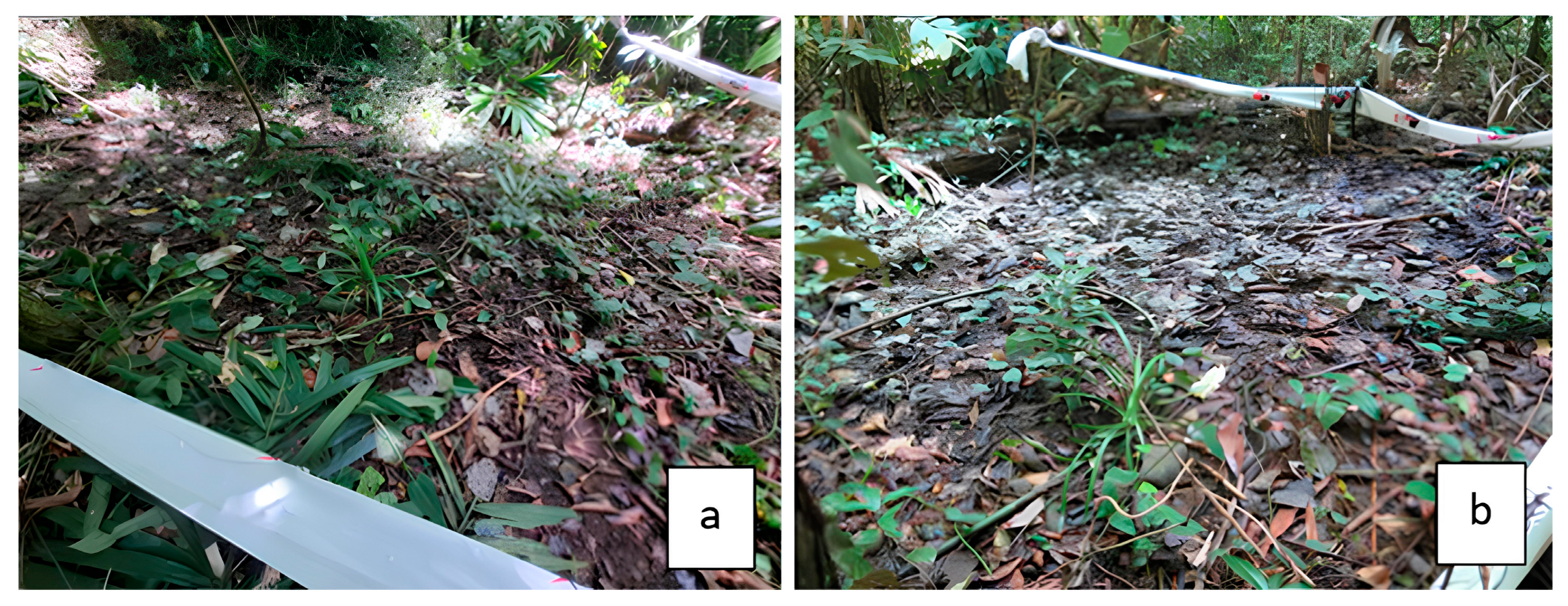 Polymers 17 01945 g001