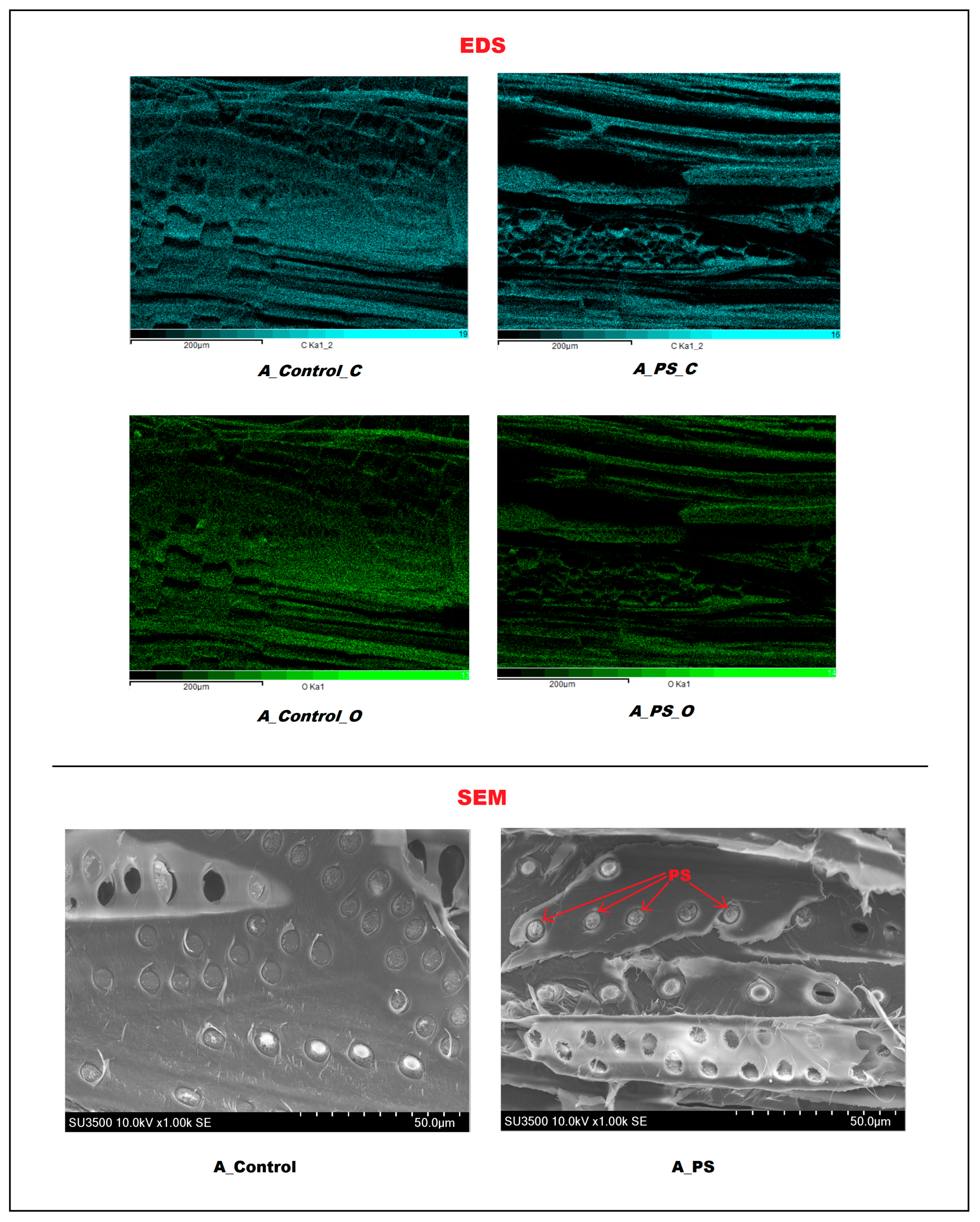 Polymers 17 01945 g004