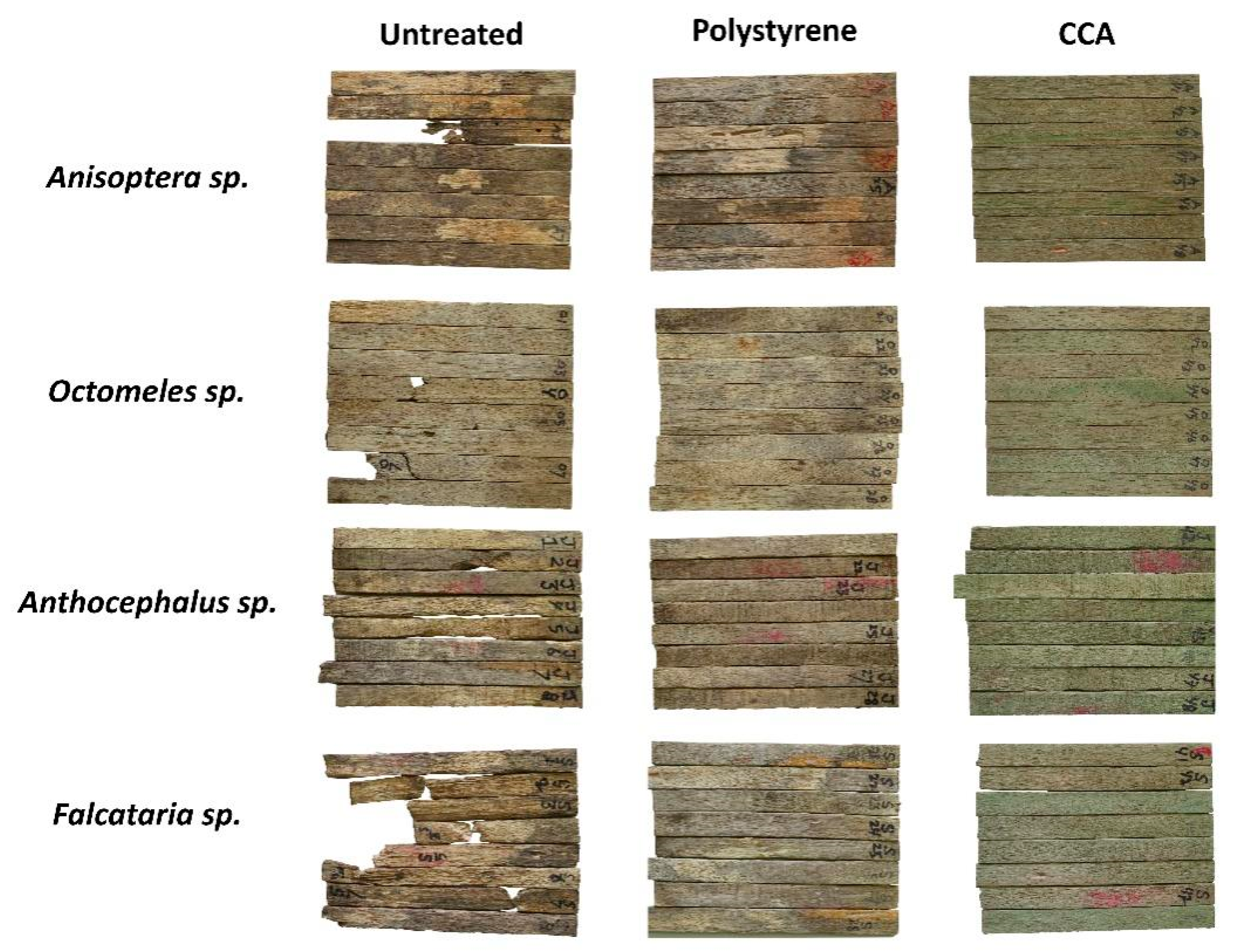 Polymers 17 01945 g005