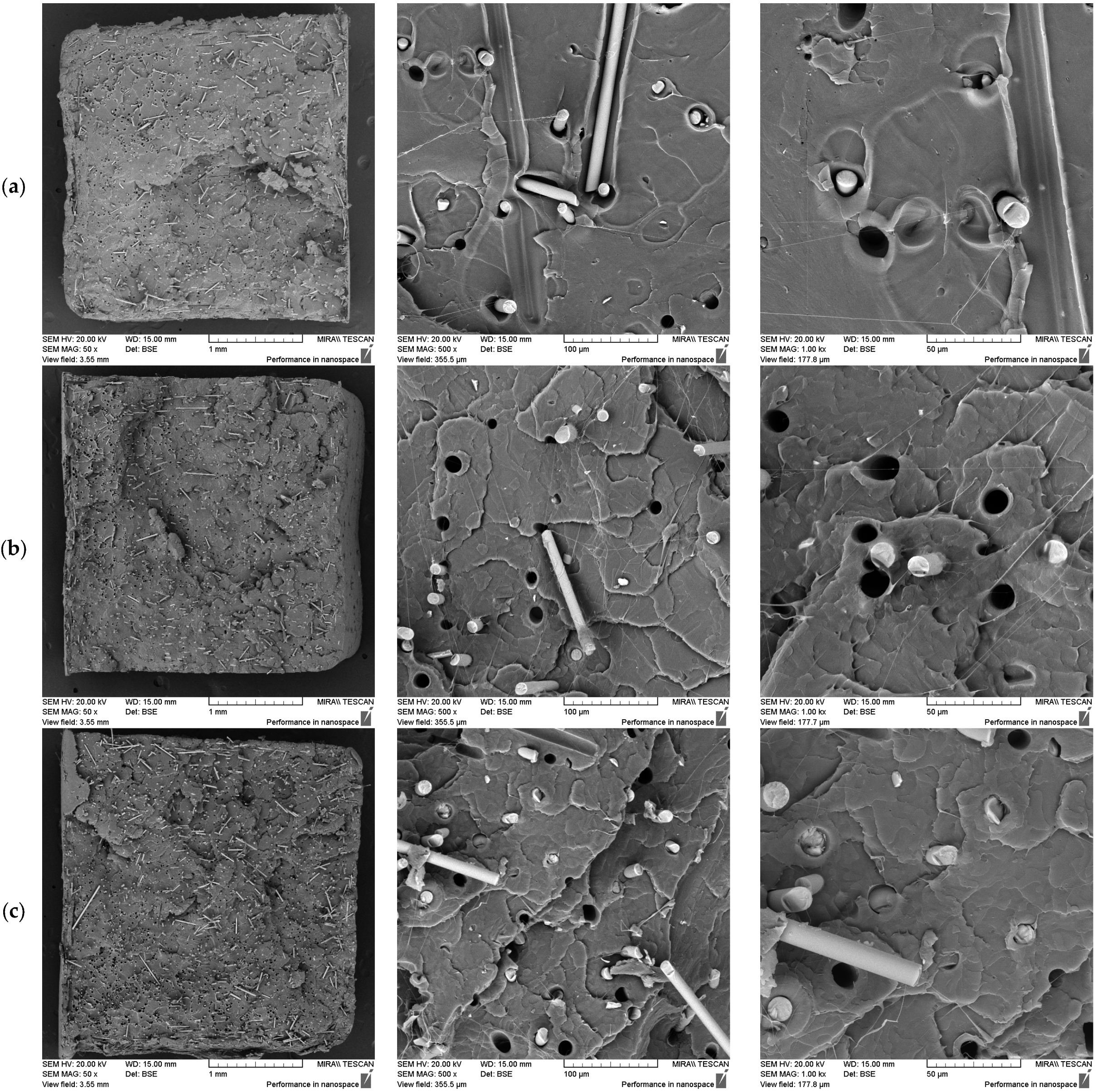 Polymers 17 01948 g003