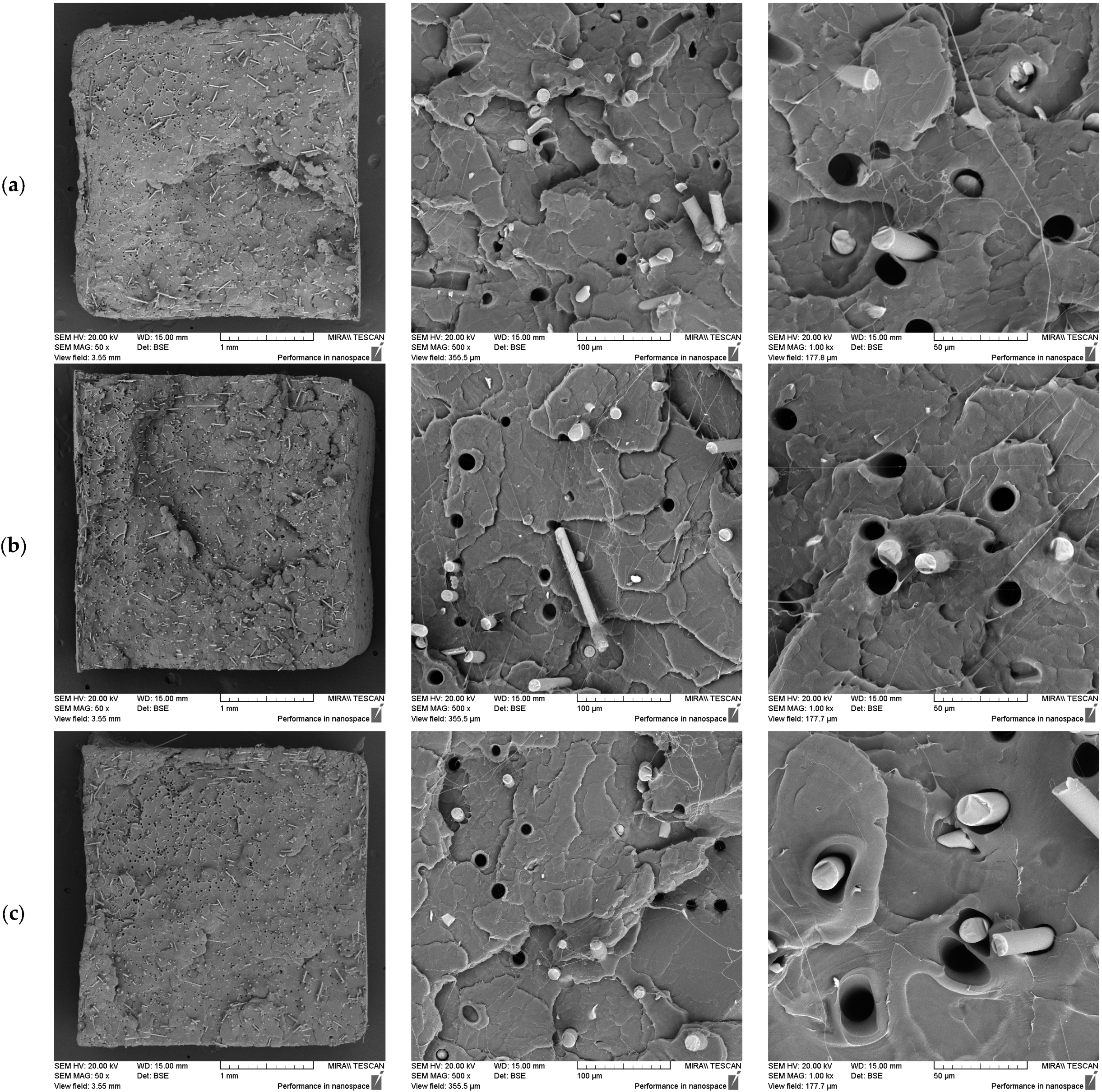 Polymers 17 01948 g004