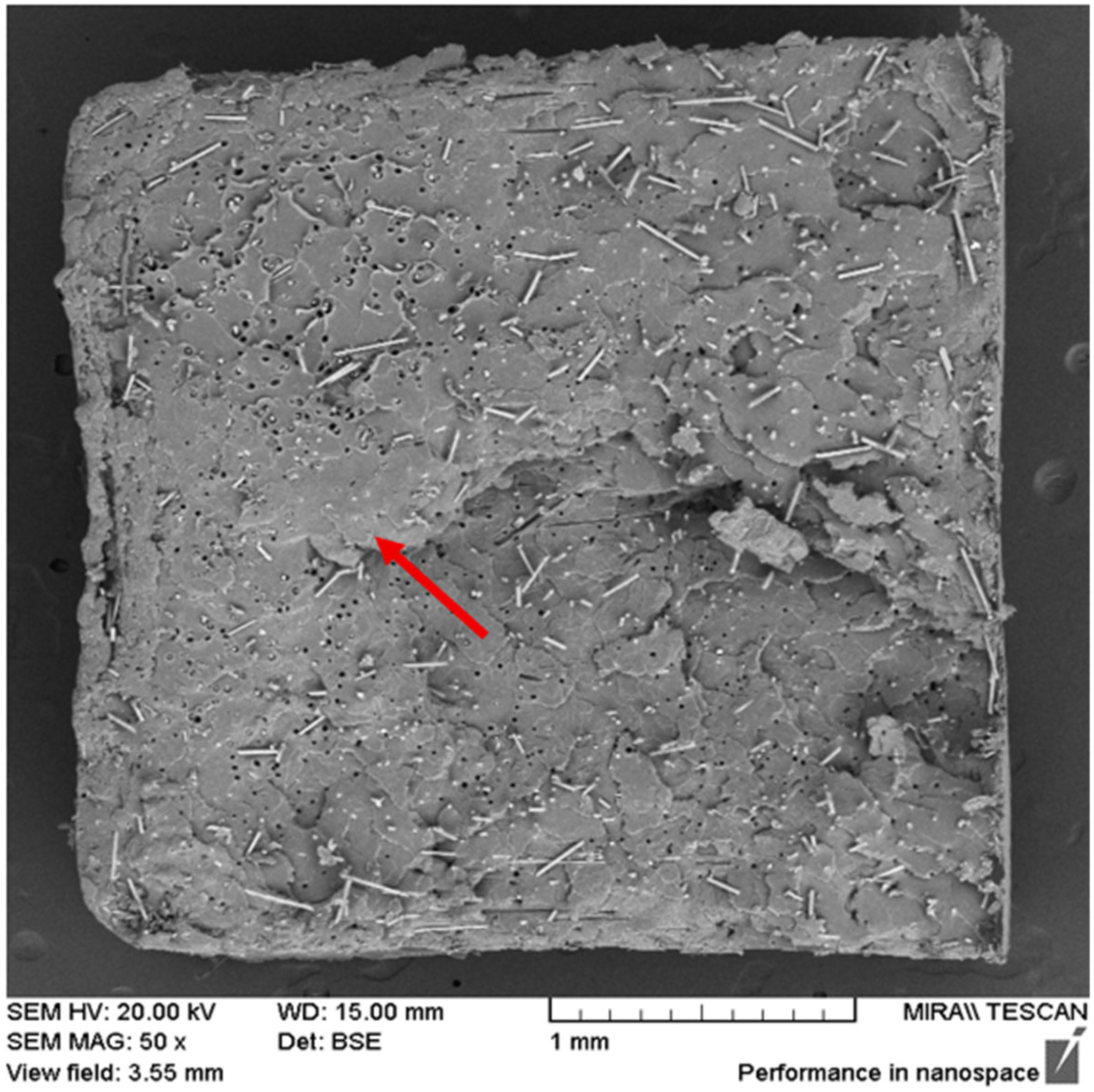 Polymers 17 01948 g005