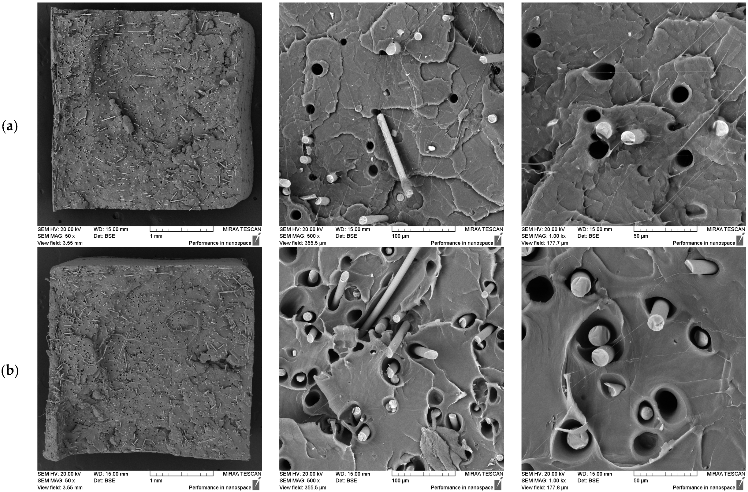 Polymers 17 01948 g006
