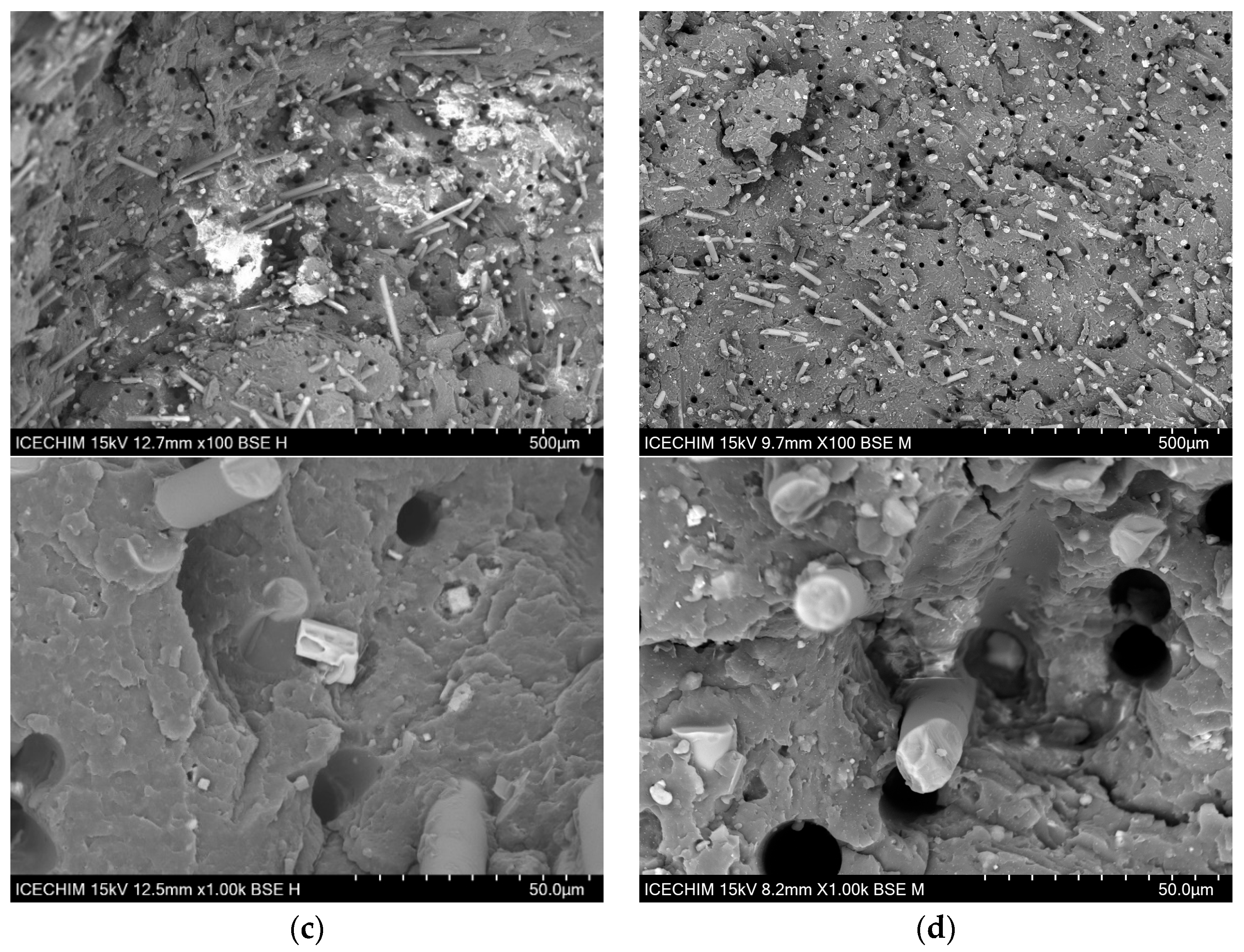 Polymers 17 01950 g007b Polymers 17 01950 g007b