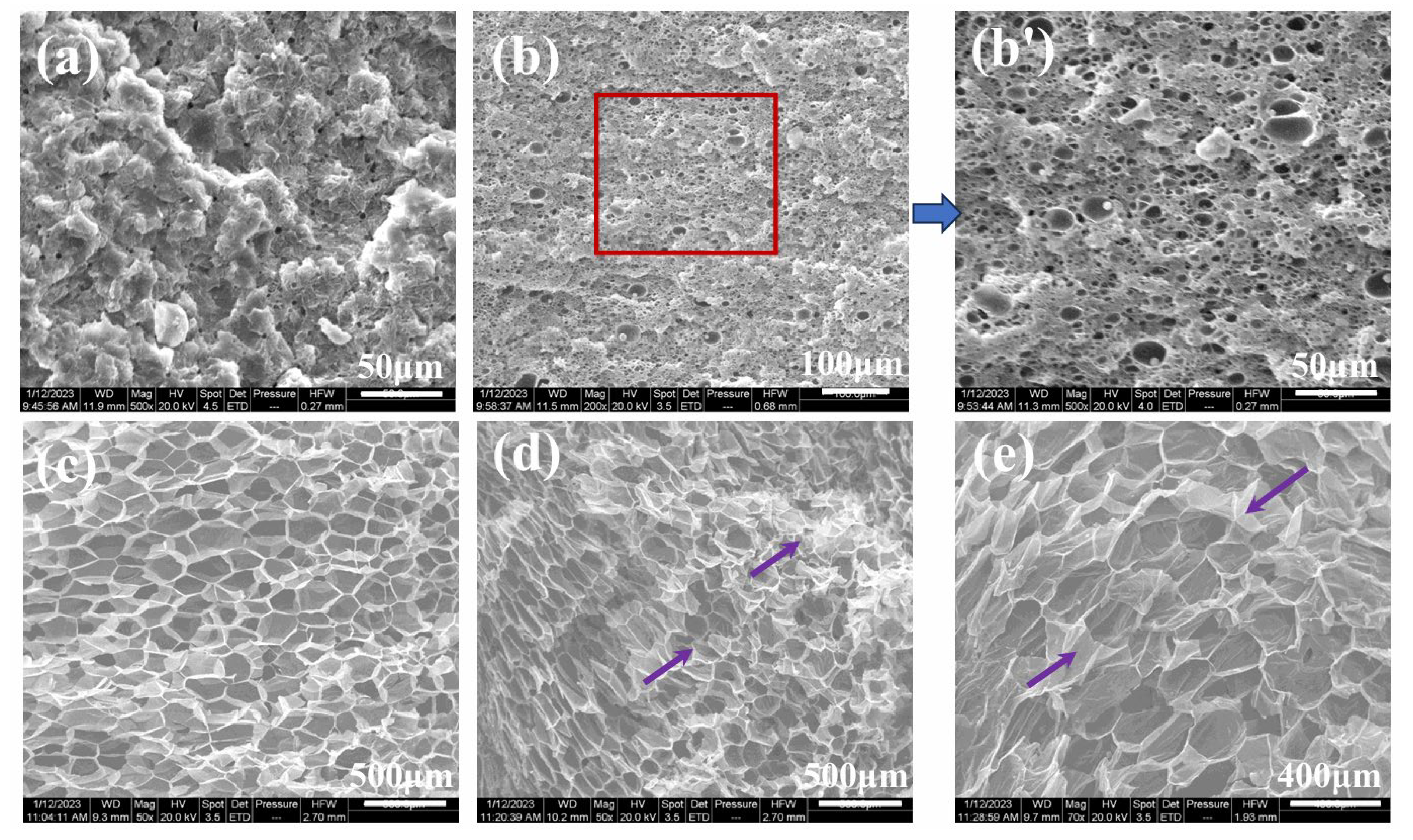 Polymers 17 01952 g010
